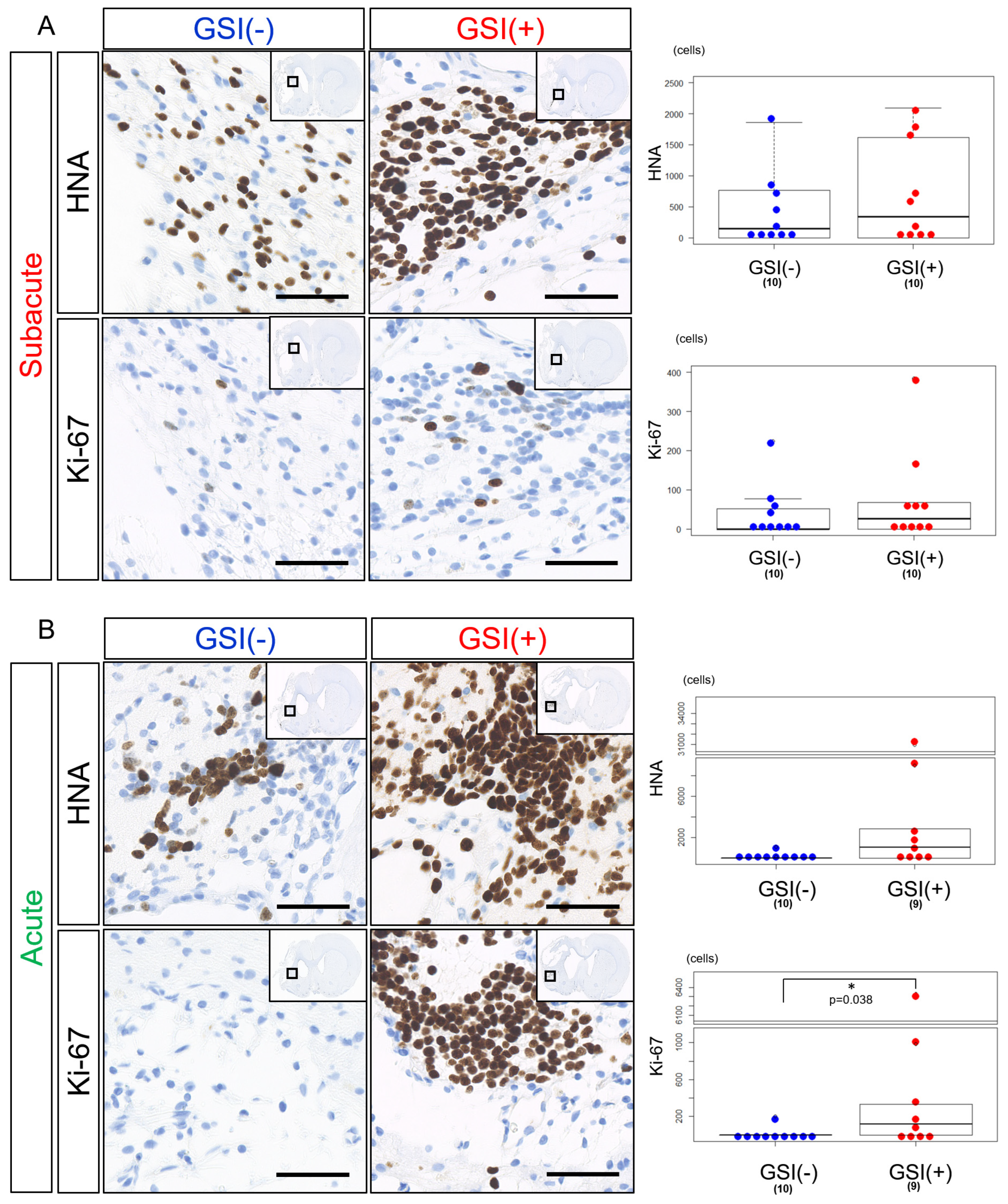 Cells 13 00671 g004 Cells 13 00671 g004