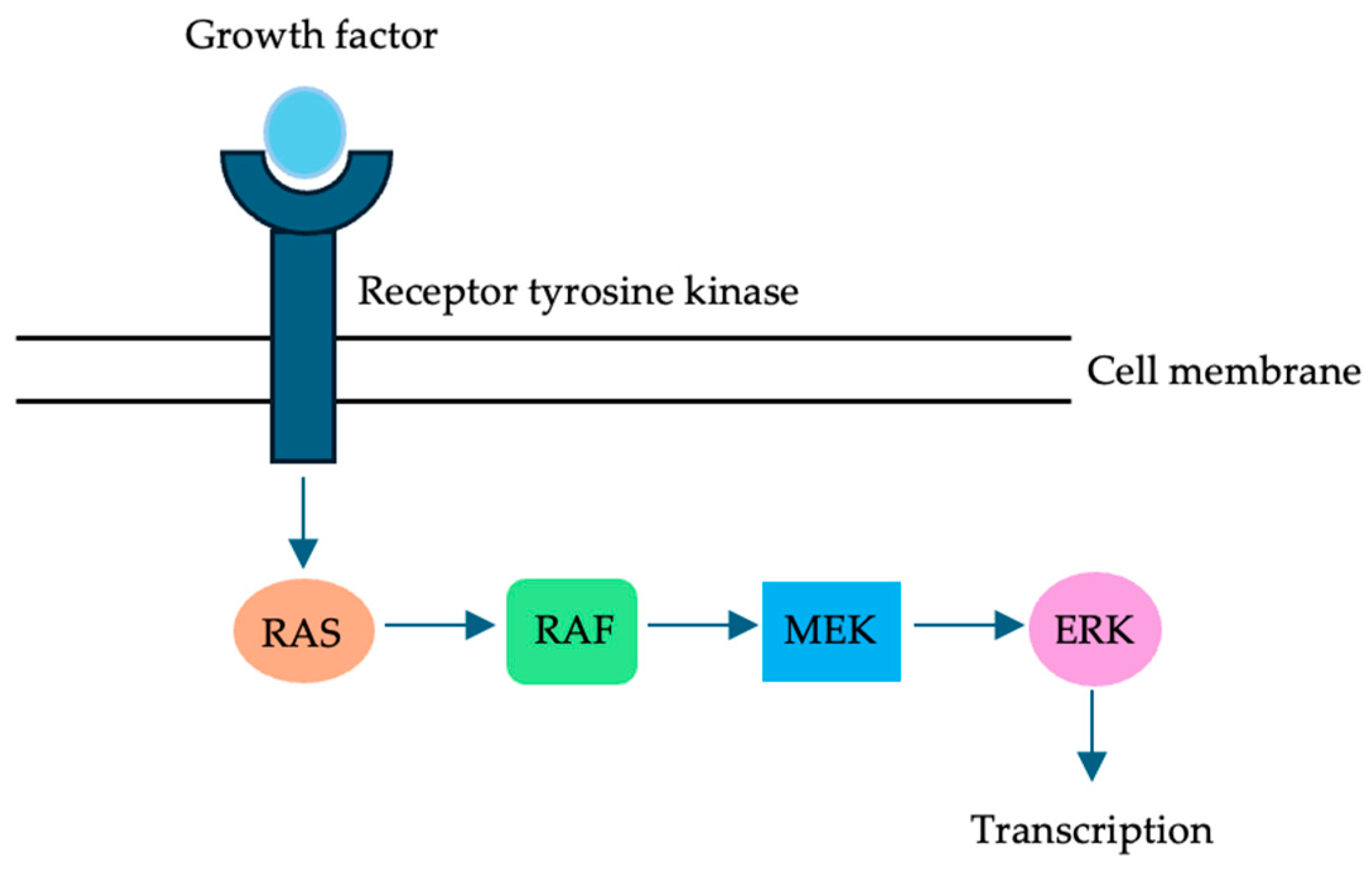 Cells | Free Full-Text | Somatic Mutations in Surgically Treated Colorectal  Liver Metastases: An Overview