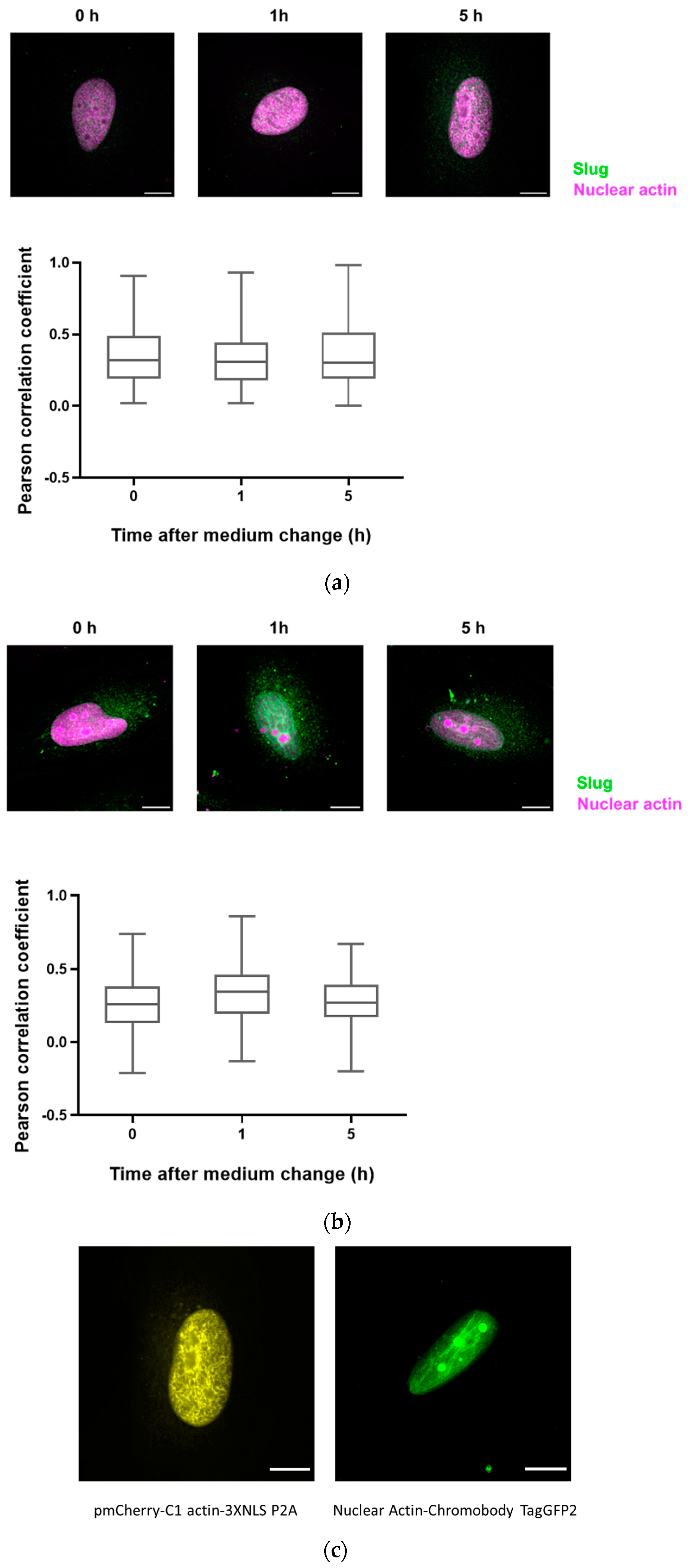 Cells 13 00696 g004 Cells 13 00696 g004