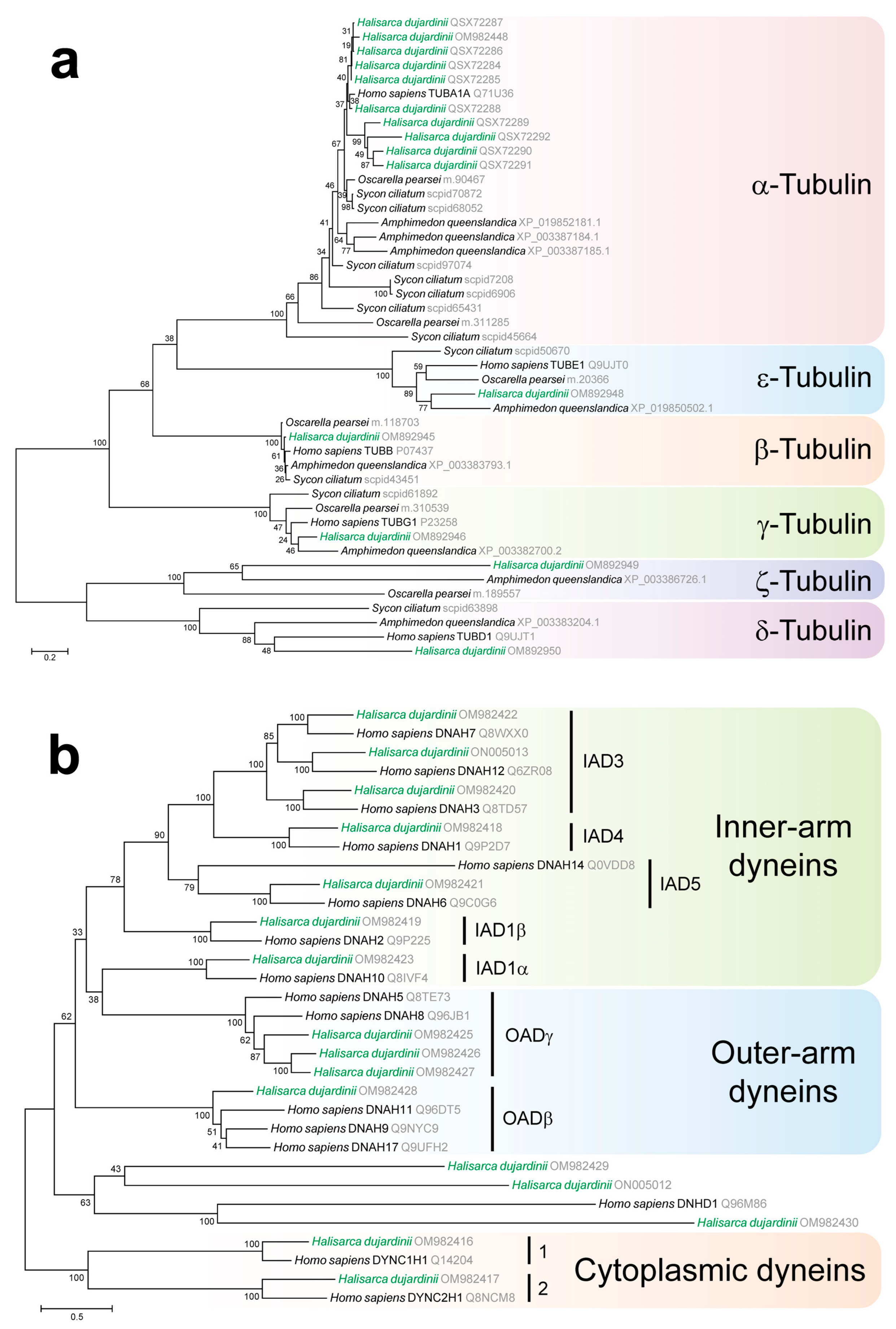 Cells 13 00736 g001 Cells 13 00736 g001