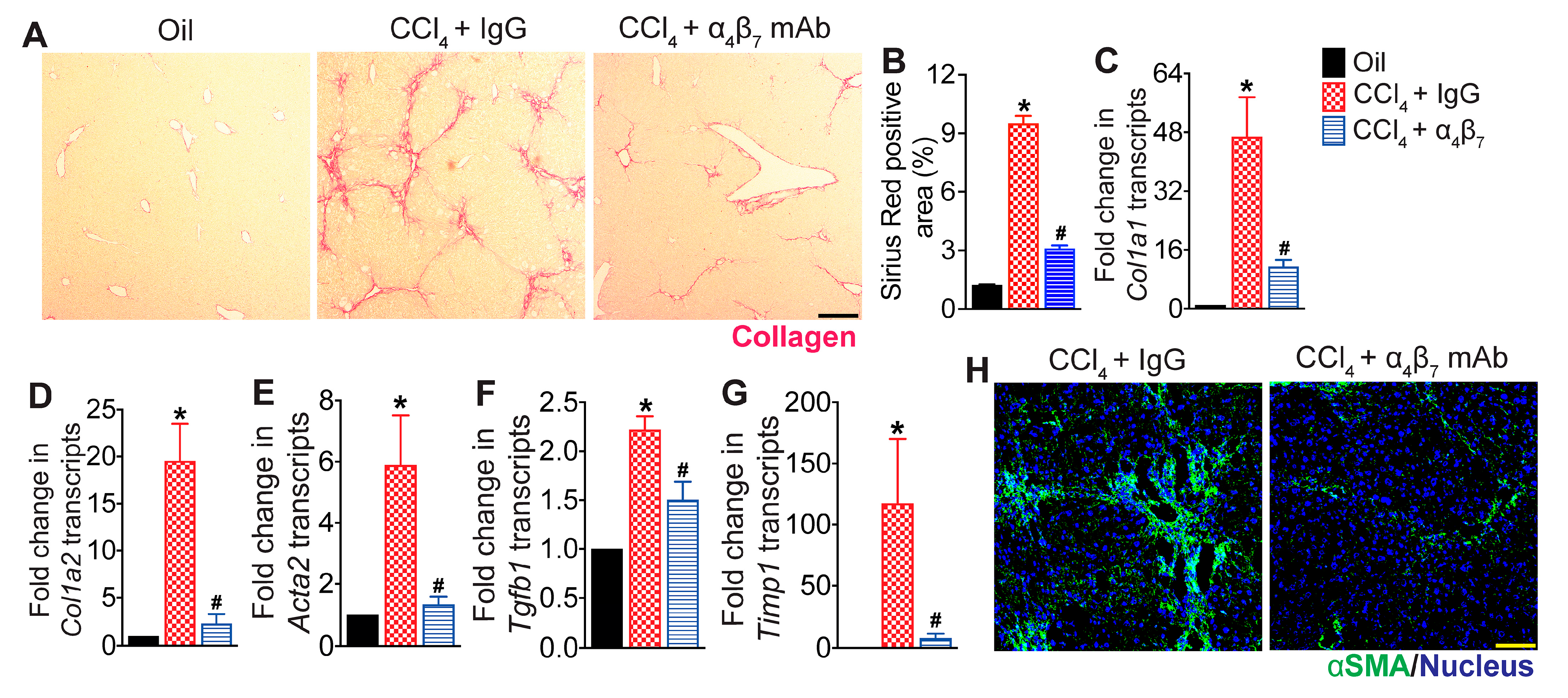 Cells 13 00756 g002 Cells 13 00756 g002