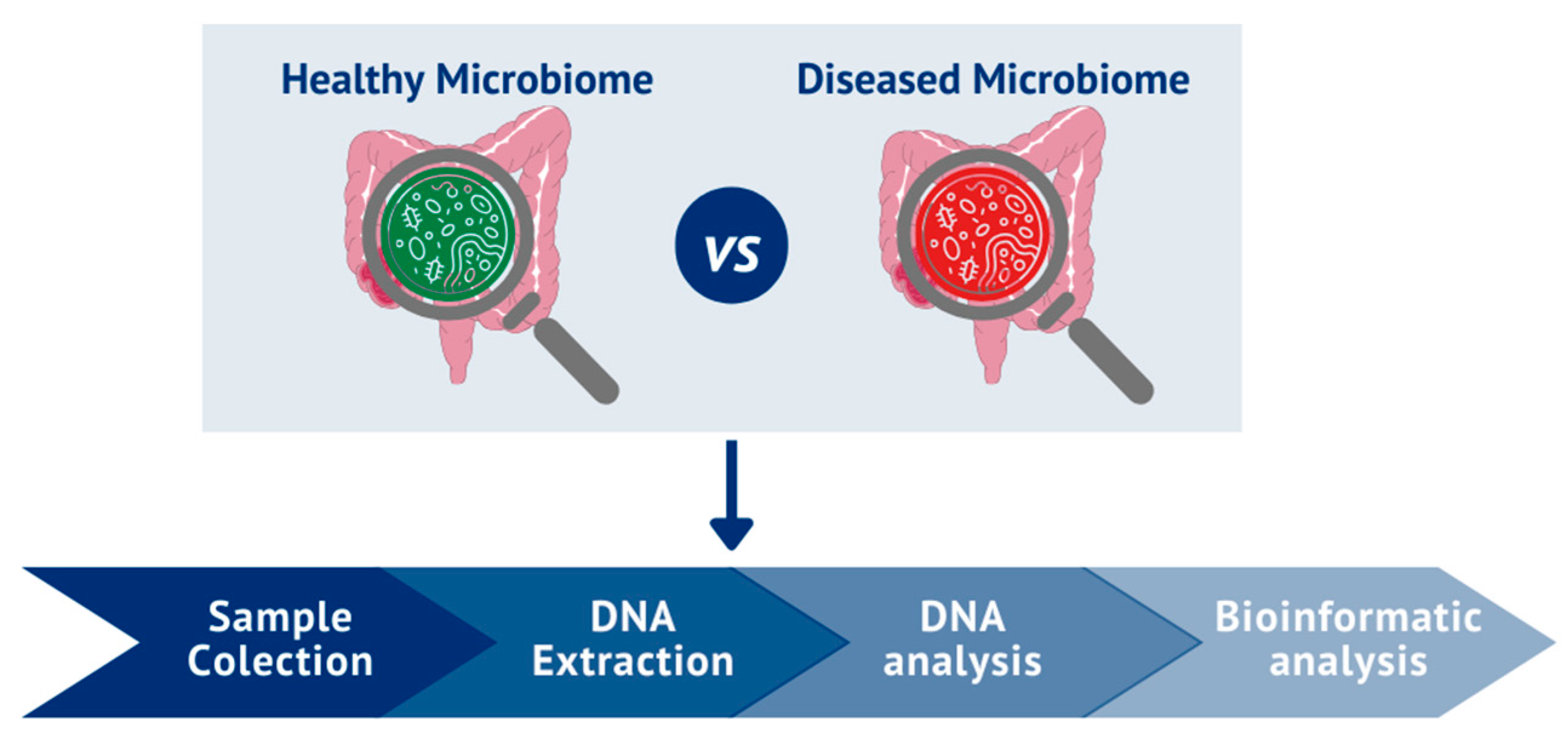 Cells | Free Full-Text | From the Gut to the Brain: Is Microbiota 