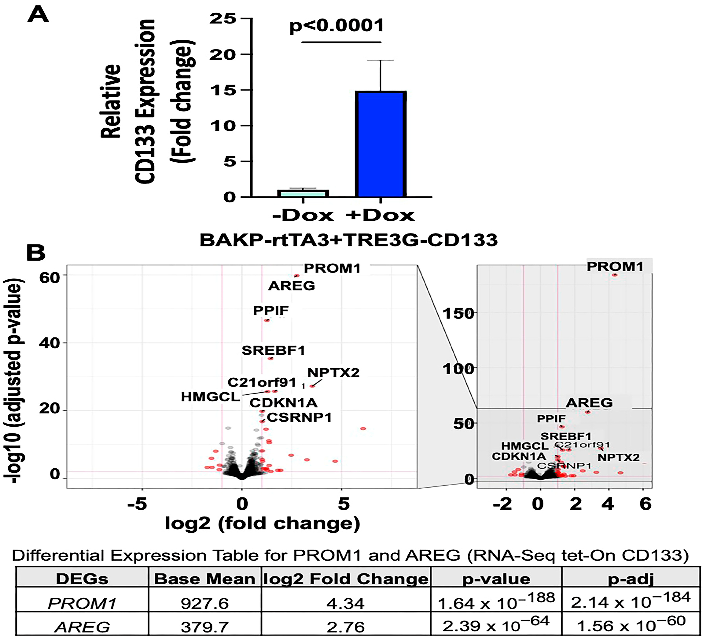 Cells 13 00777 g001 Cells 13 00777 g001