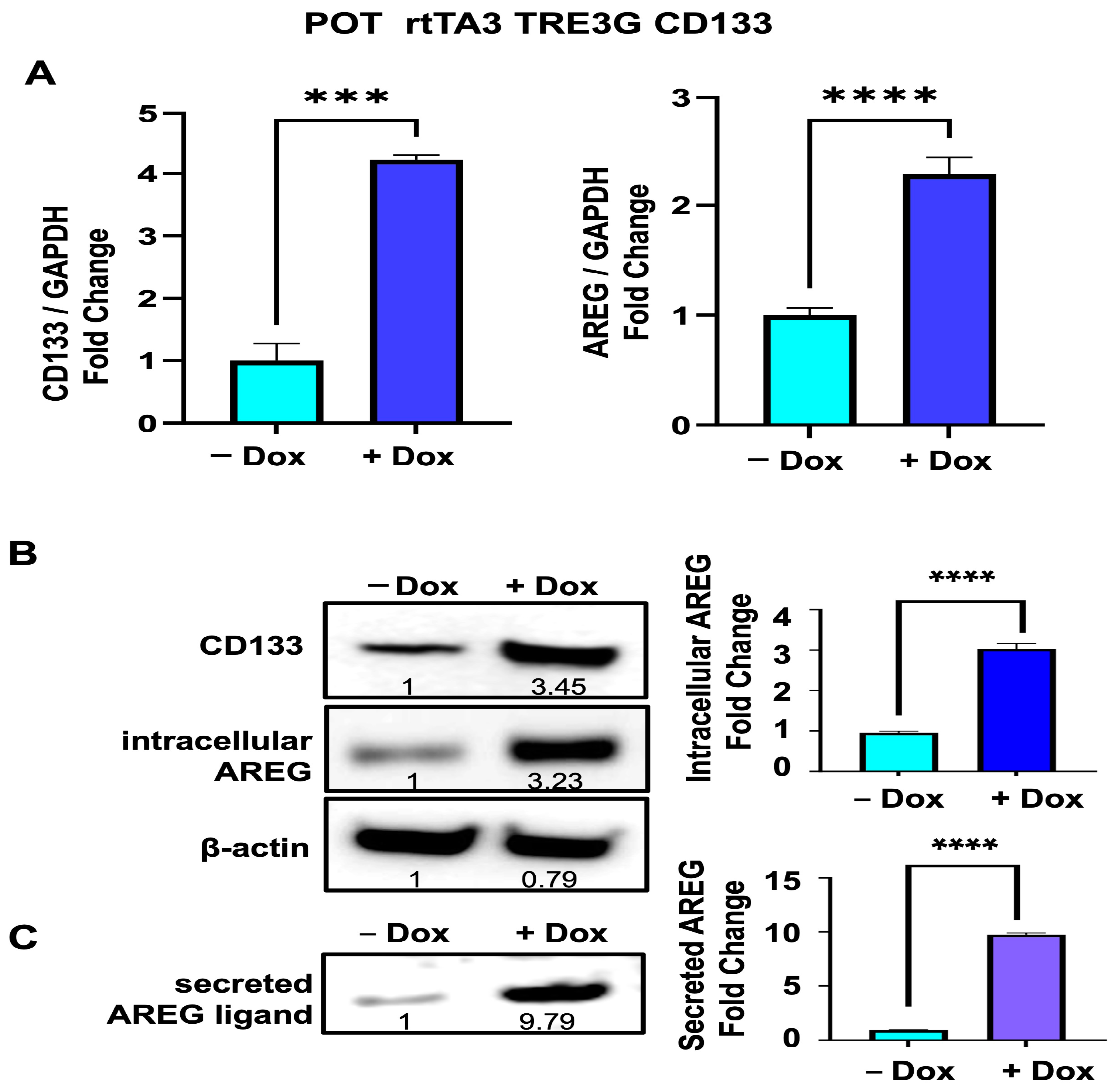 Cells 13 00777 g005 Cells 13 00777 g005