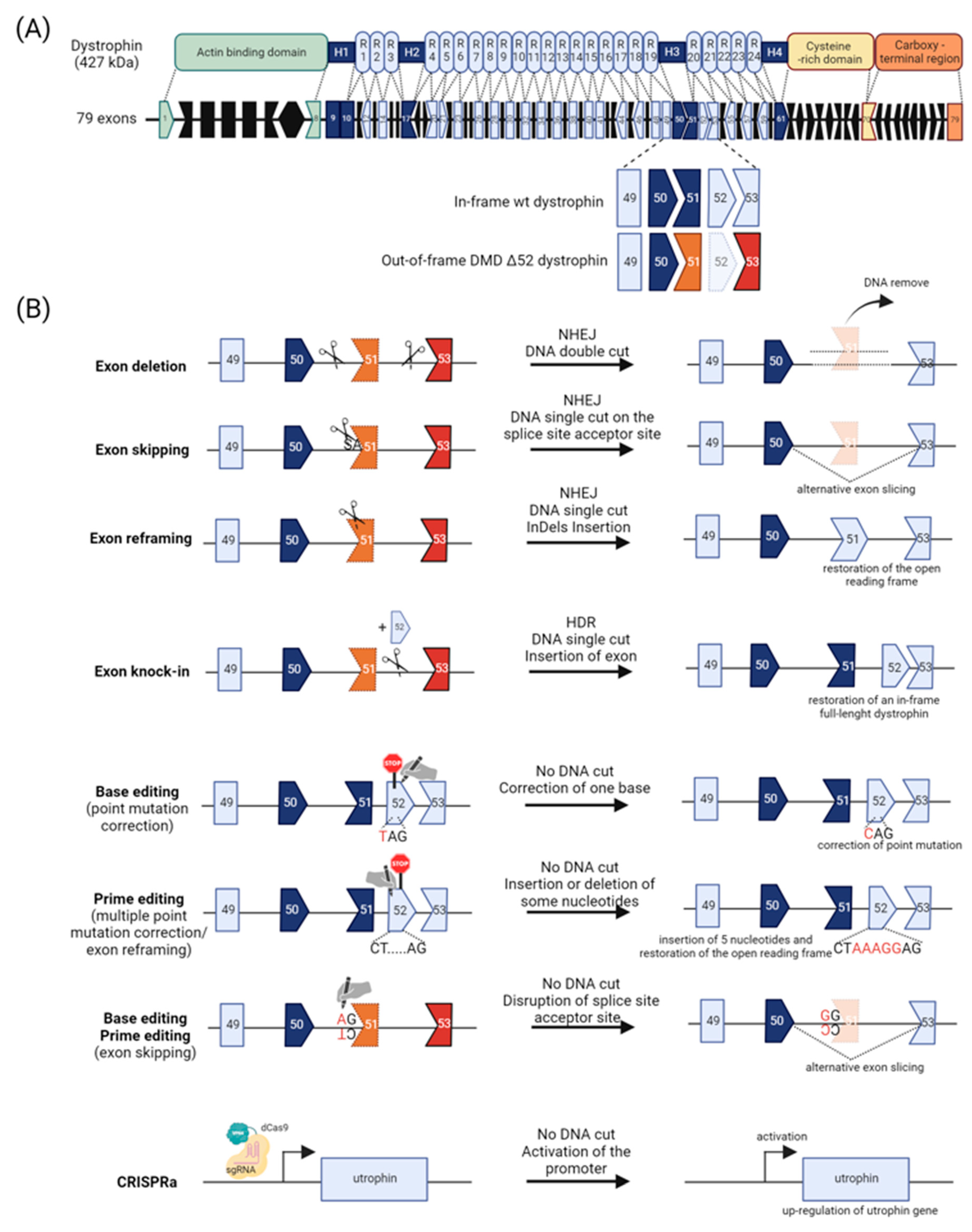 Cells 13 00800 g003 Cells 13 00800 g003