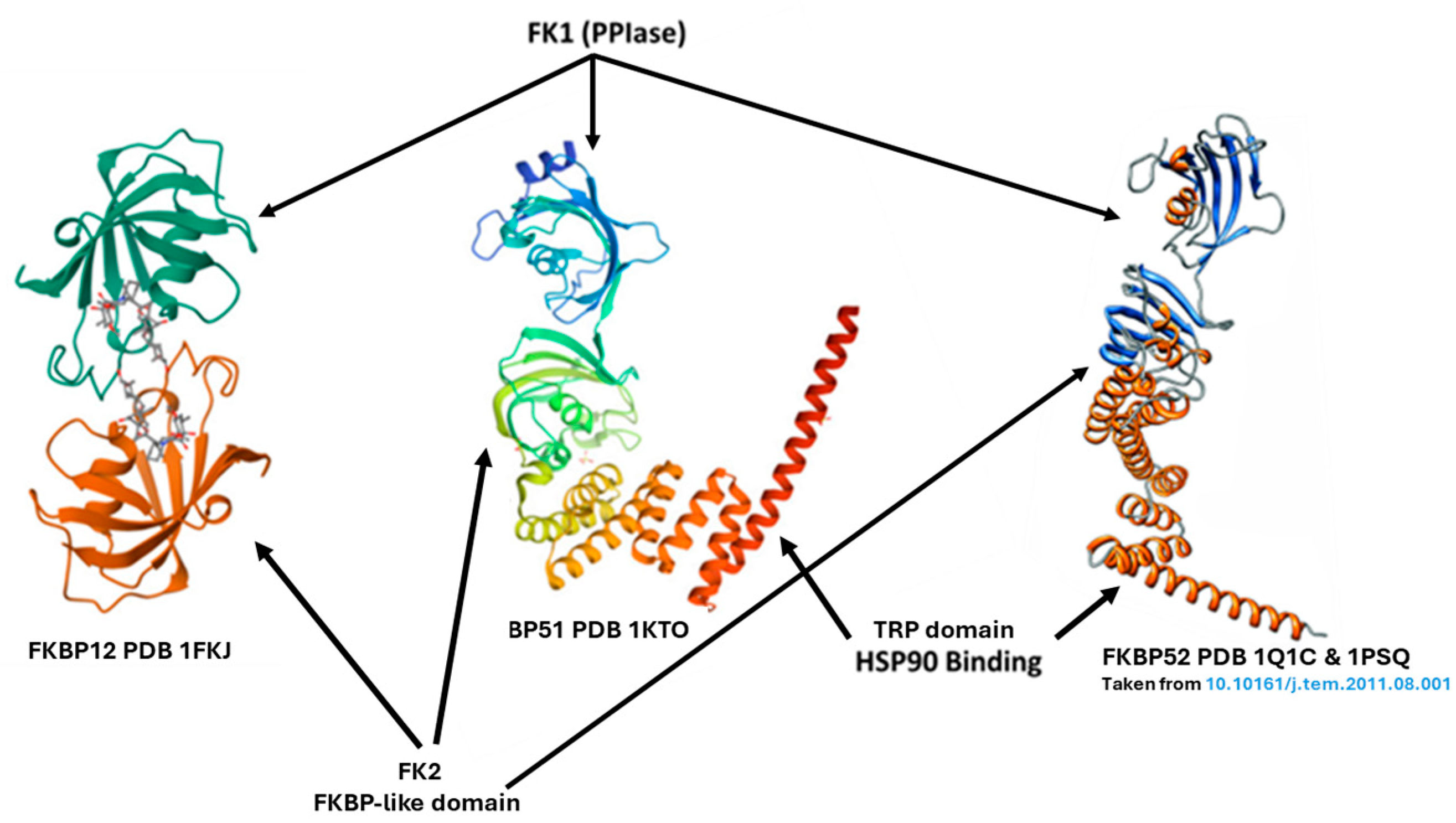 Cells 13 00801 g001 Cells 13 00801 g001