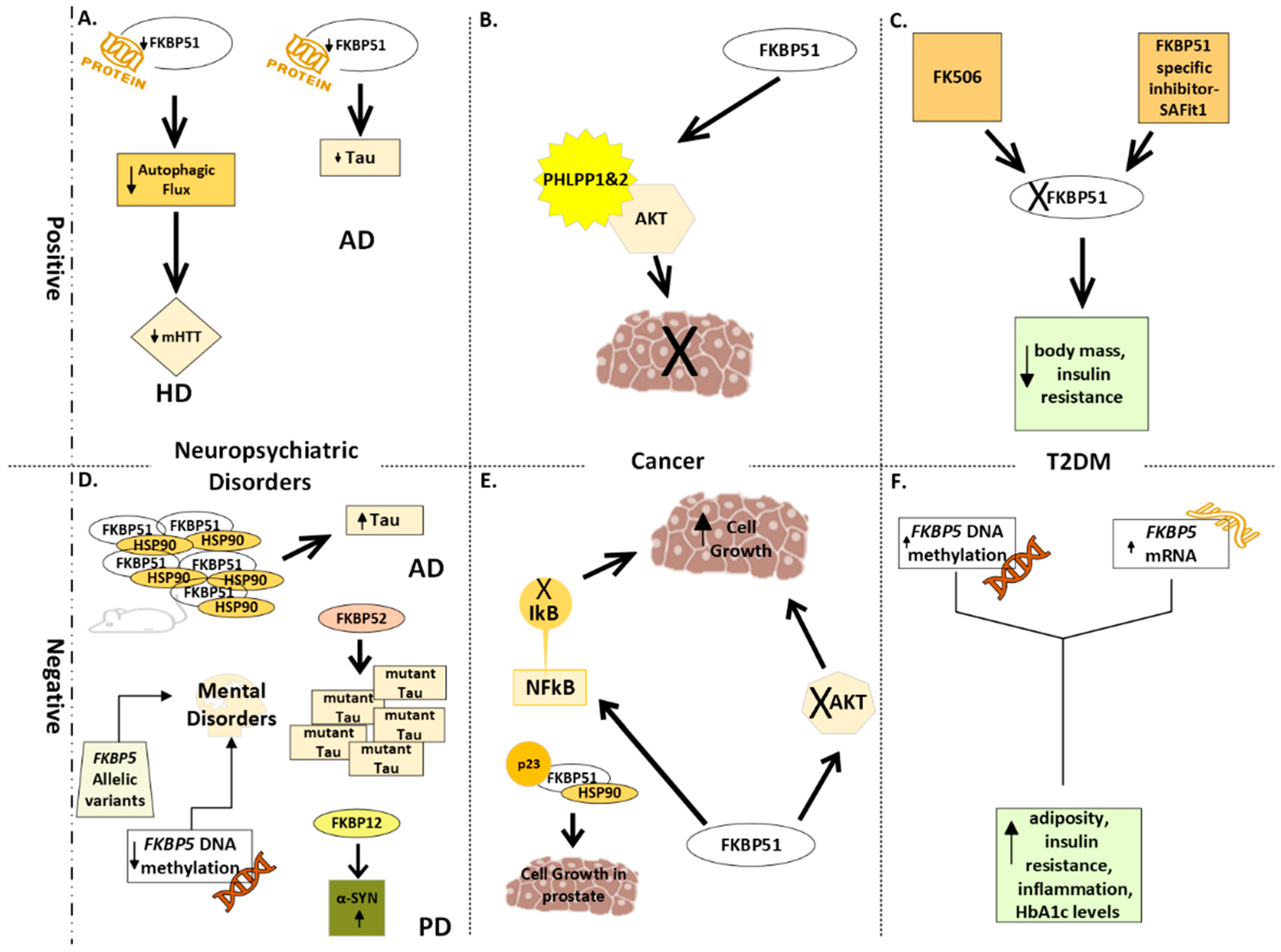 Cells 13 00801 g002 Cells 13 00801 g002