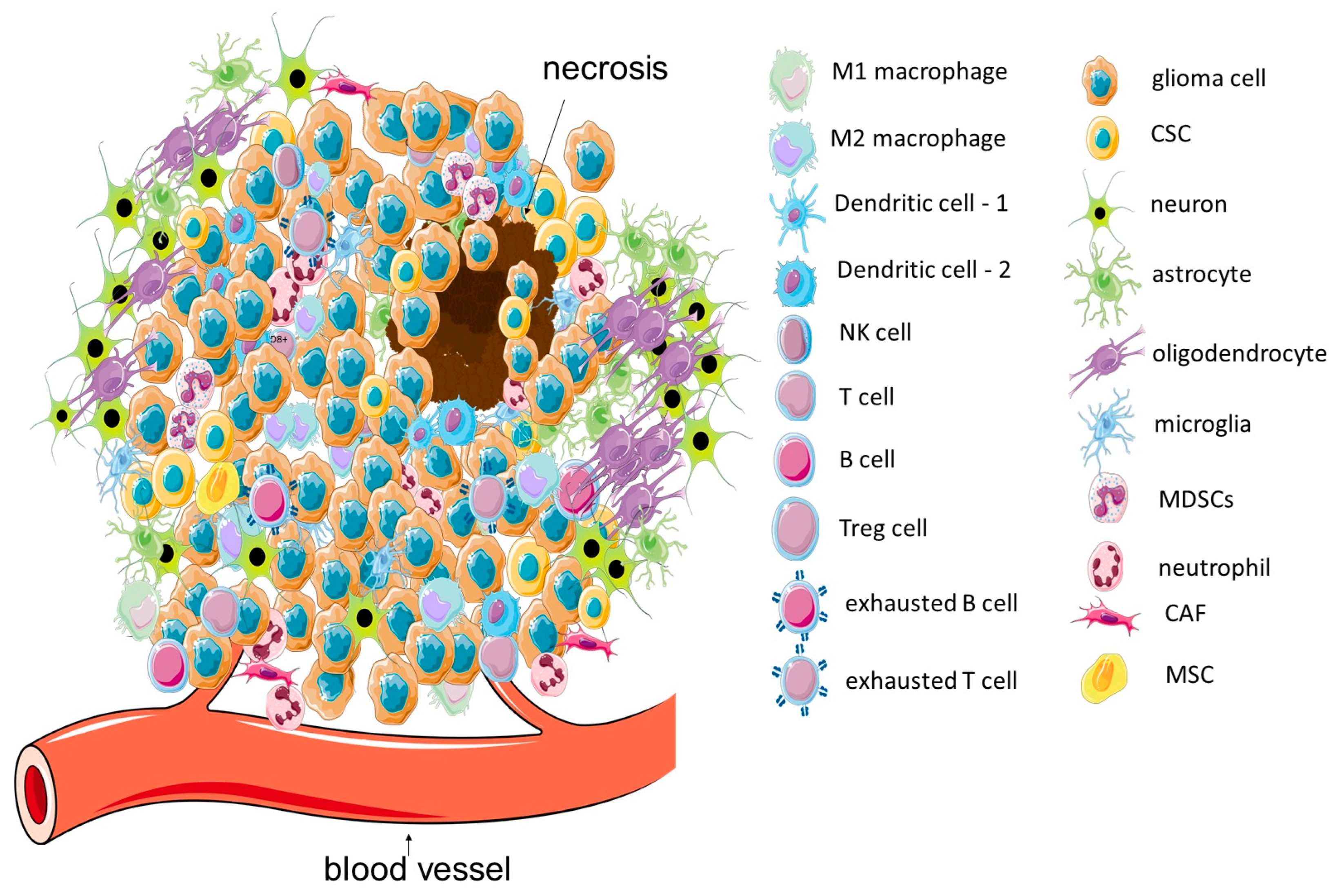 Cells | Free Full-Text | Non-Tumor Cells within the Tumor  Microenvironment—The “Eminence Grise” of the Glioblastoma  Pathogenesis and Potential Targets for Therapy