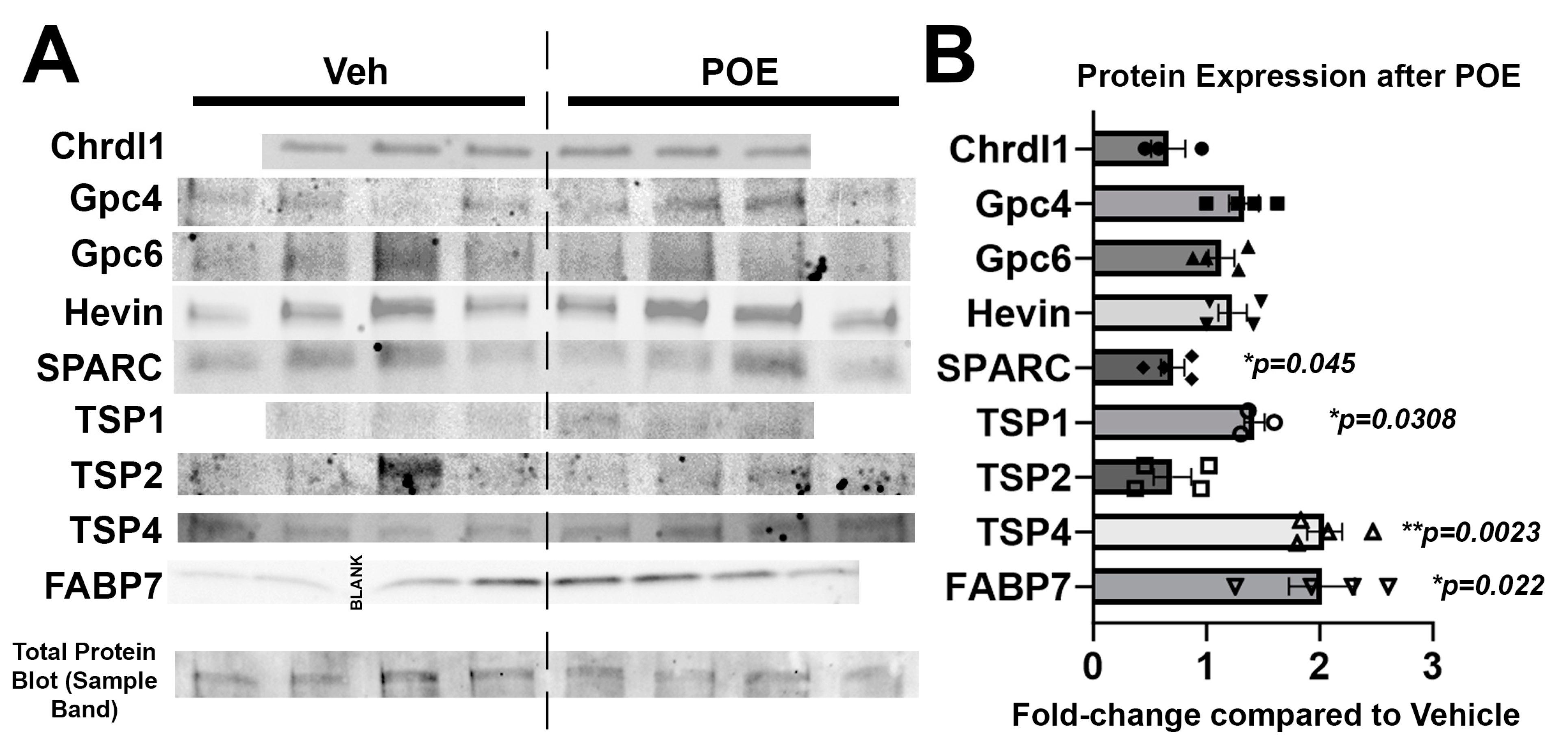 Cells 13 00837 g004 Cells 13 00837 g004
