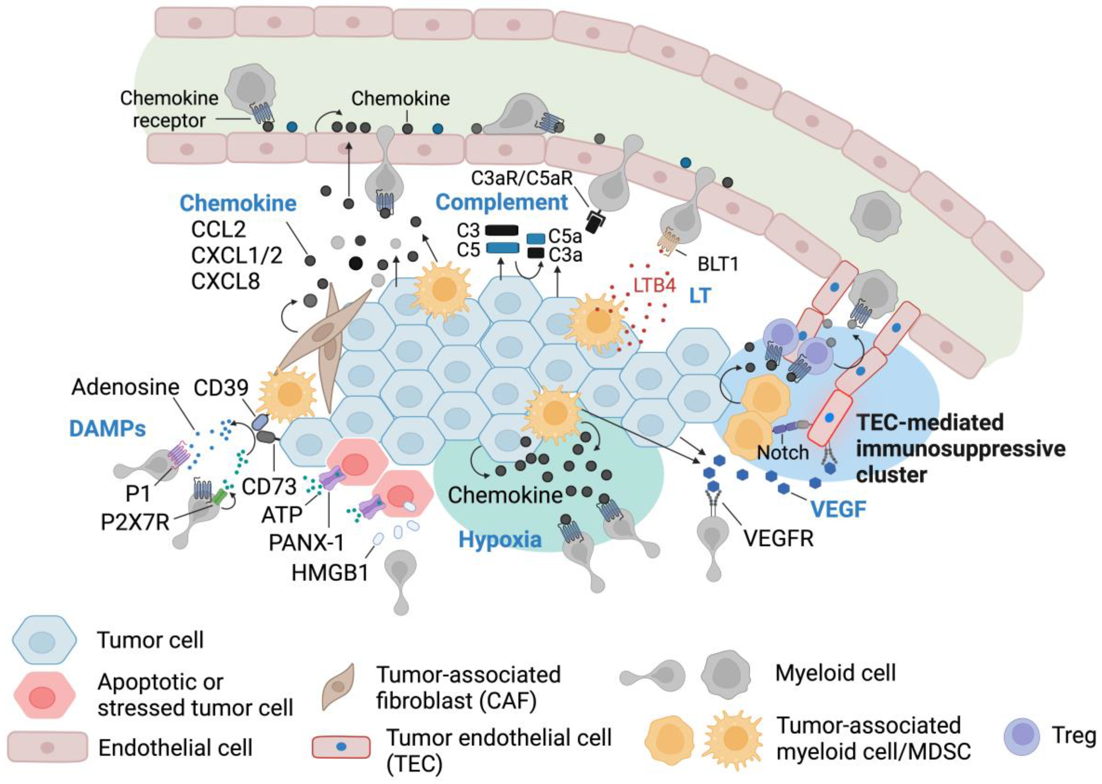 Cells | Free Full-Text | Immune Cell Migration to Cancer