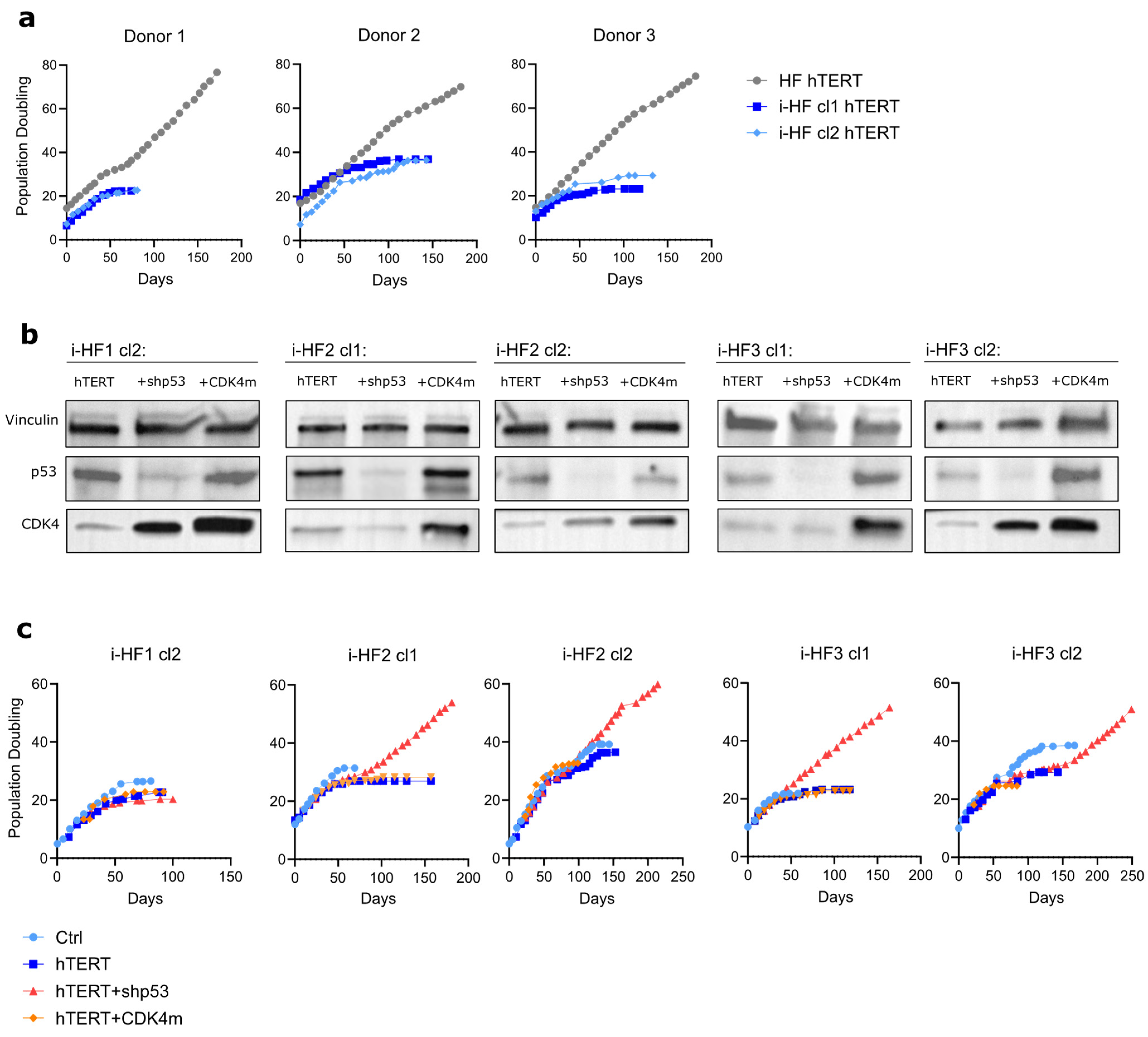 Cells 13 00849 g006 Cells 13 00849 g006