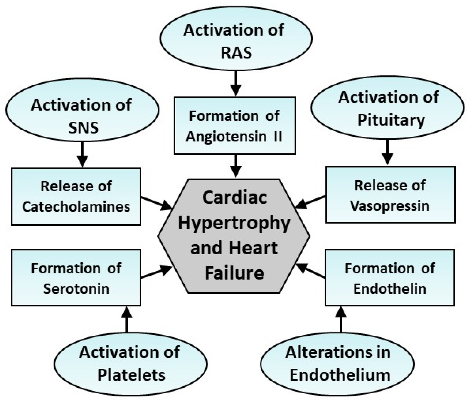 Cells 13 00856 g001 Cells 13 00856 g001