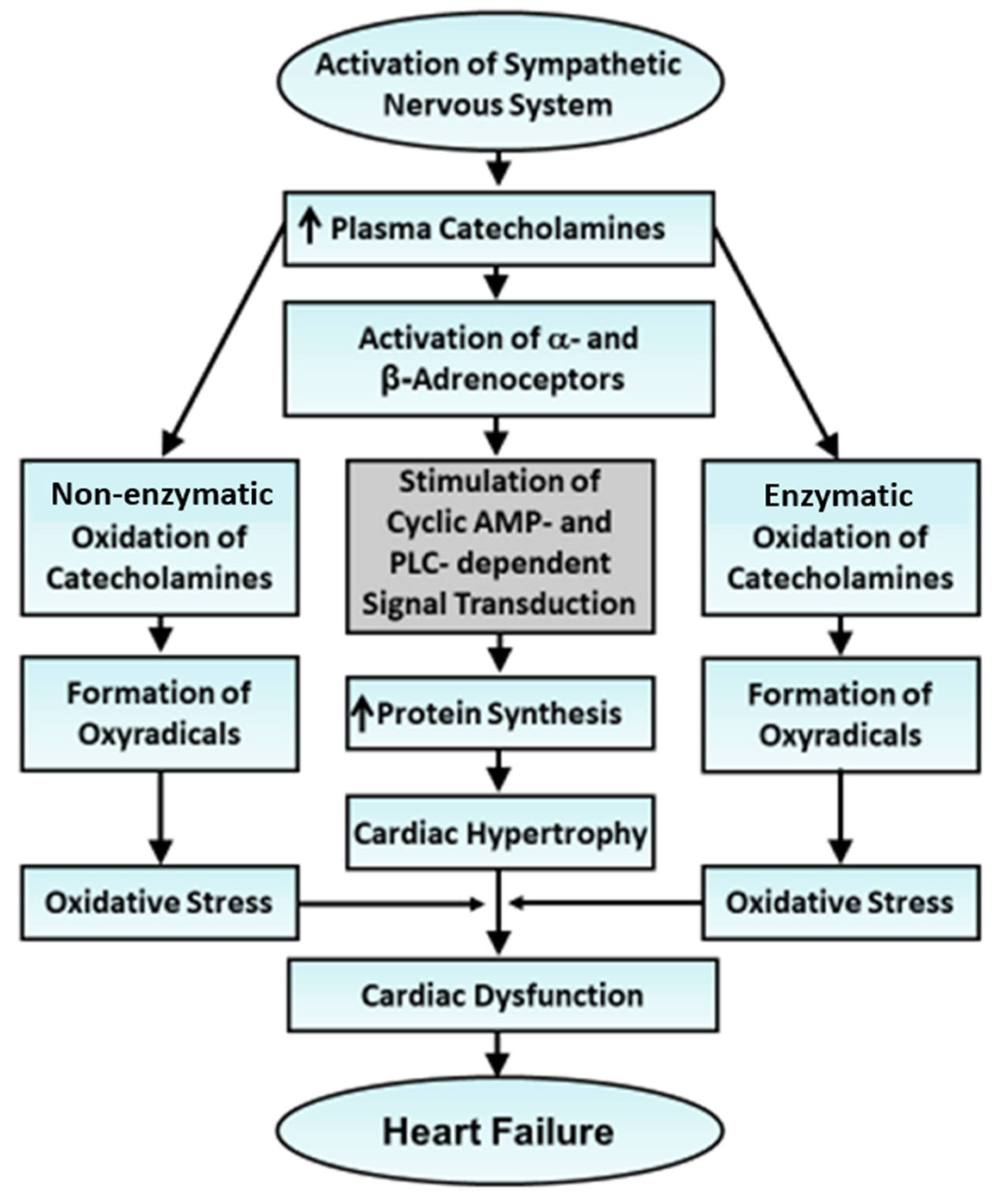 Cells 13 00856 g002 Cells 13 00856 g002