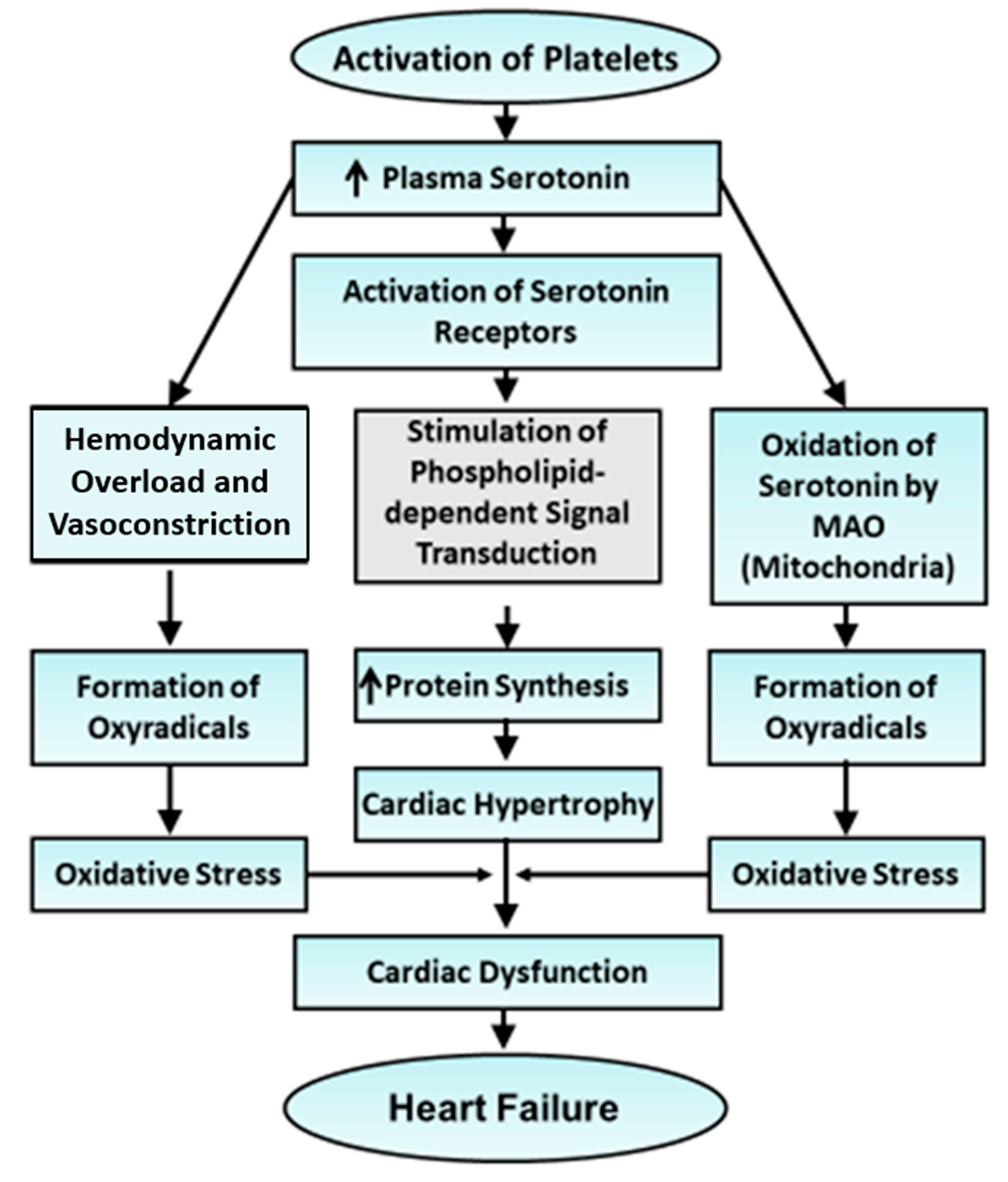 Cells 13 00856 g004 Cells 13 00856 g004