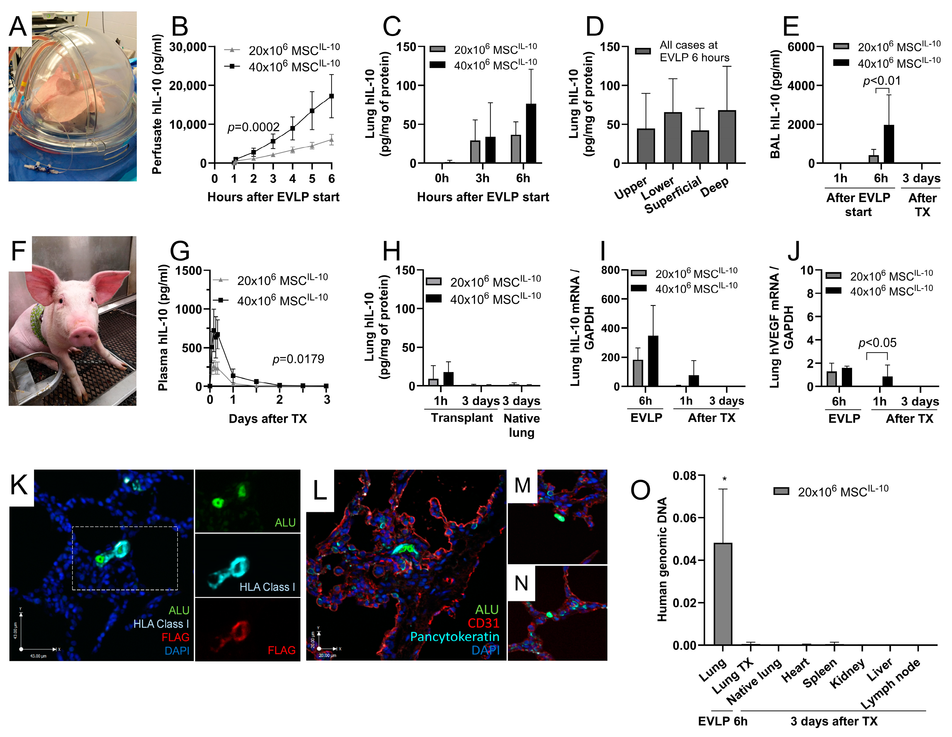 Cells 13 00859 g002 Cells 13 00859 g002