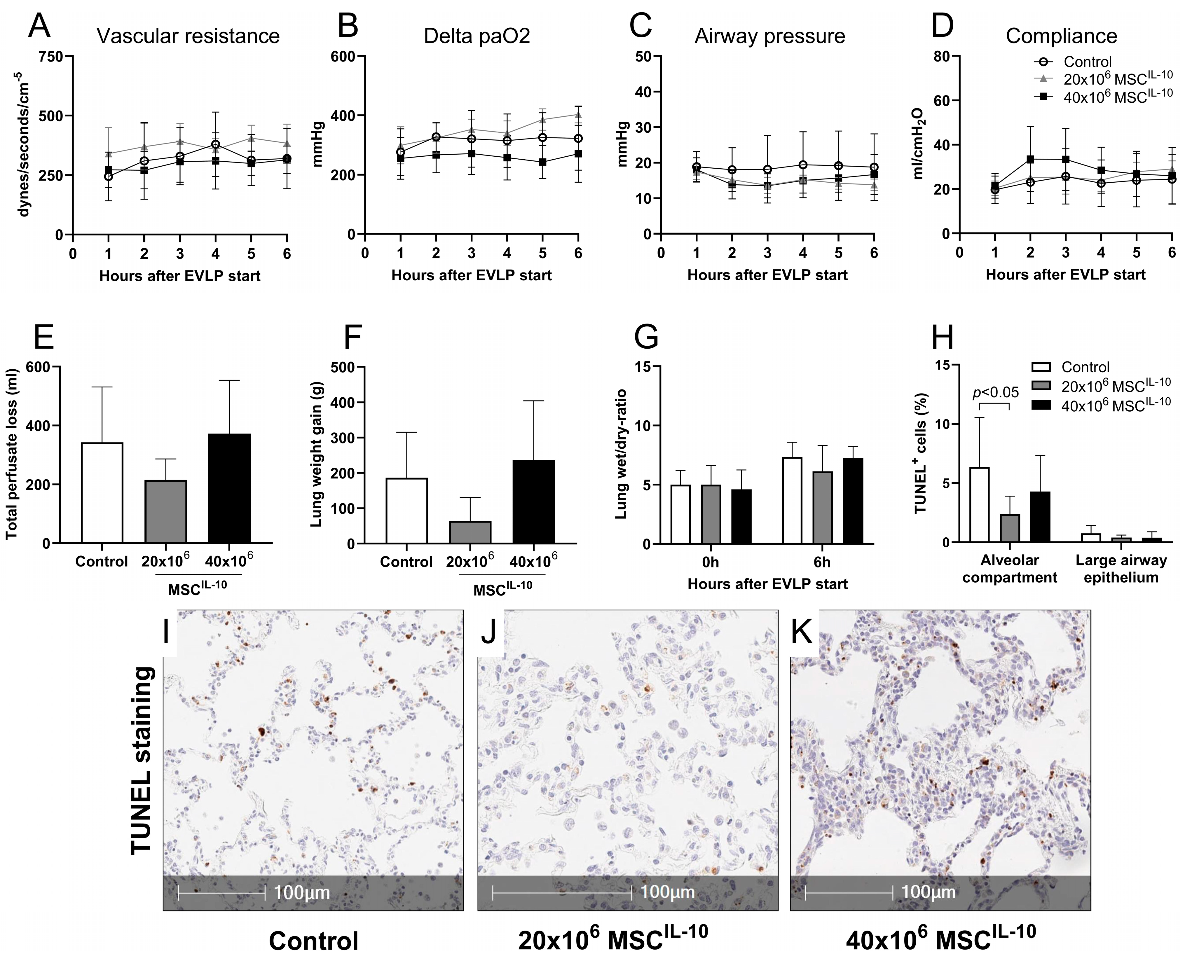 Cells 13 00859 g003 Cells 13 00859 g003