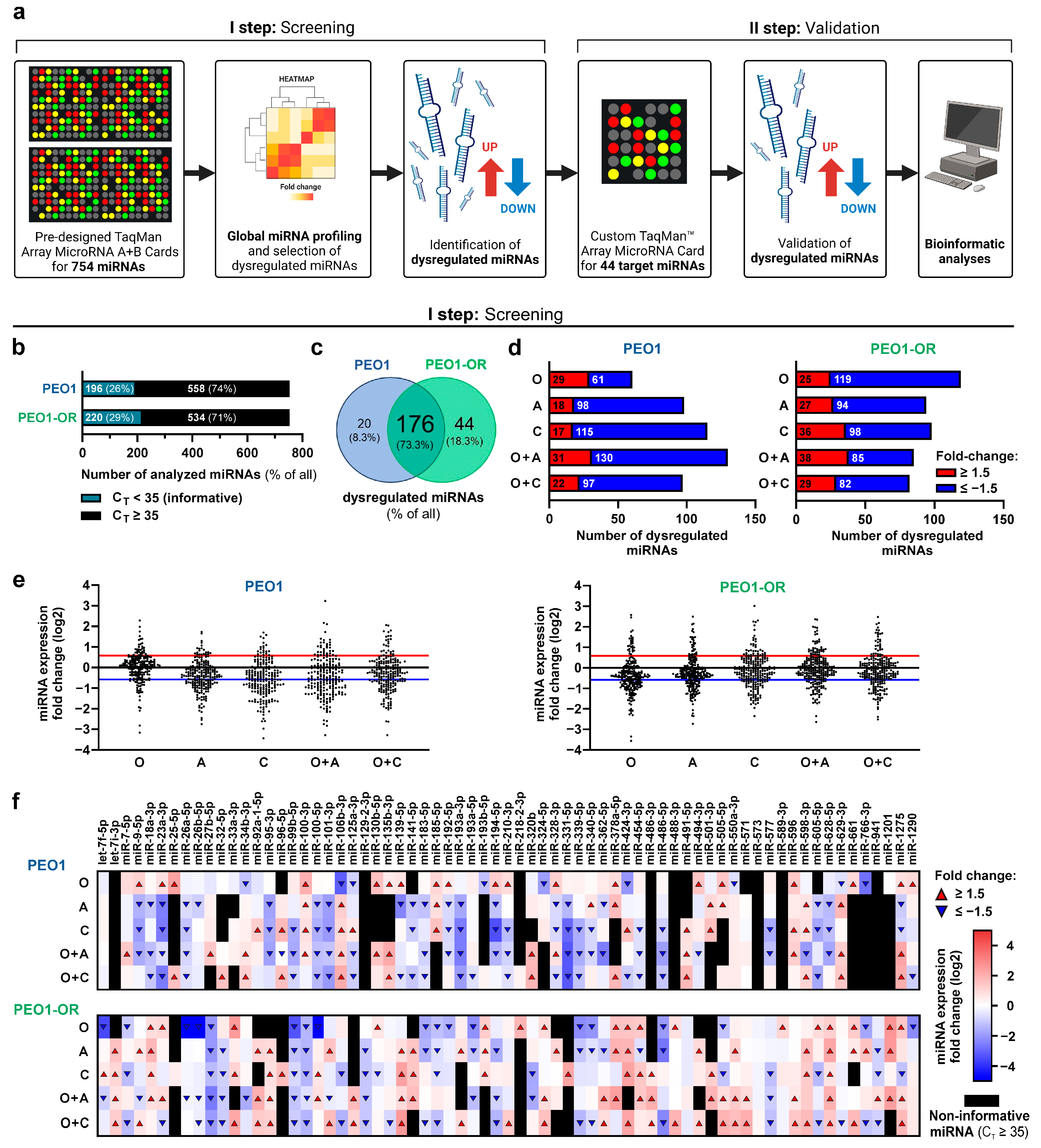 Cells 13 00867 g001