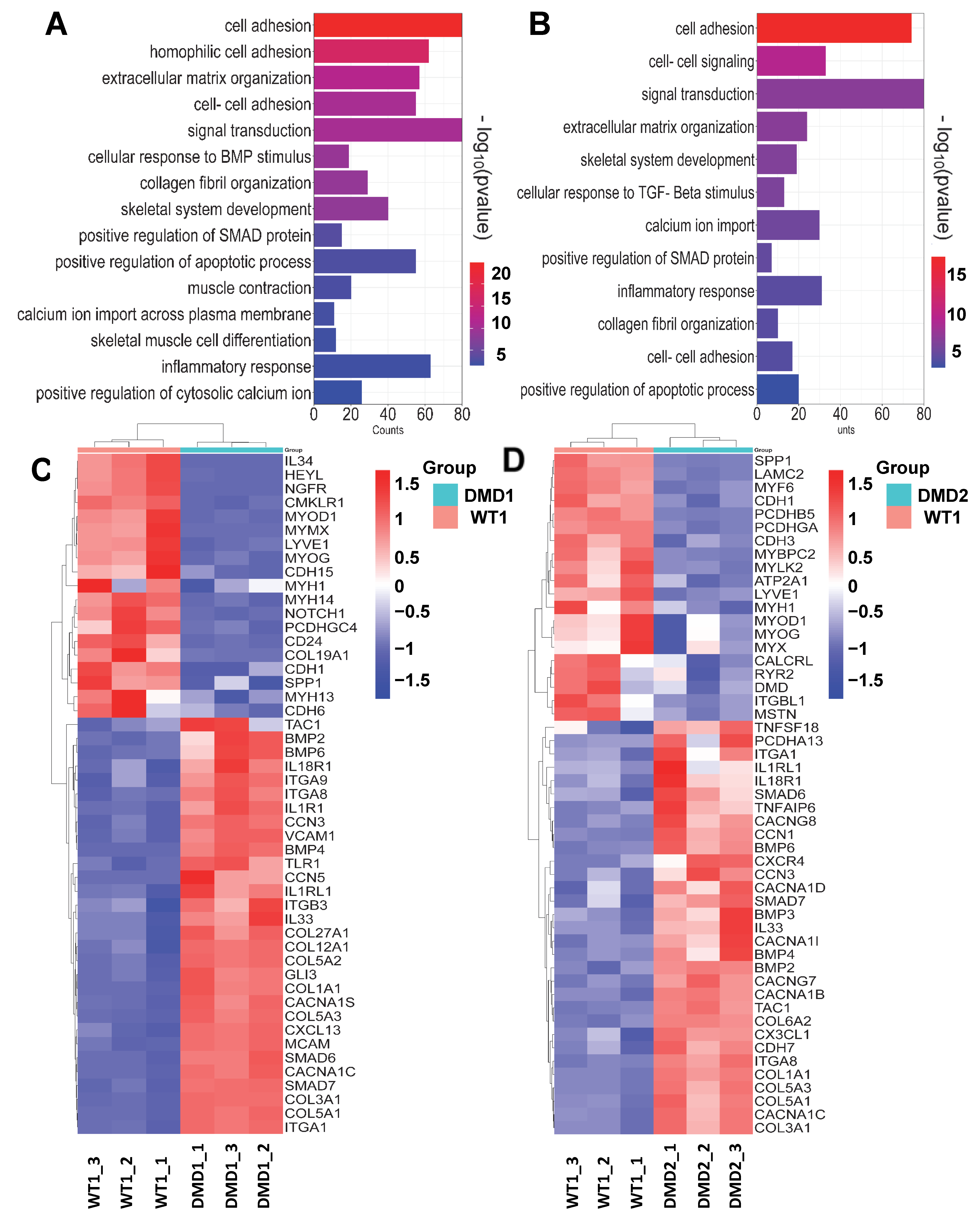 Cells 13 00972 g002 Cells 13 00972 g002