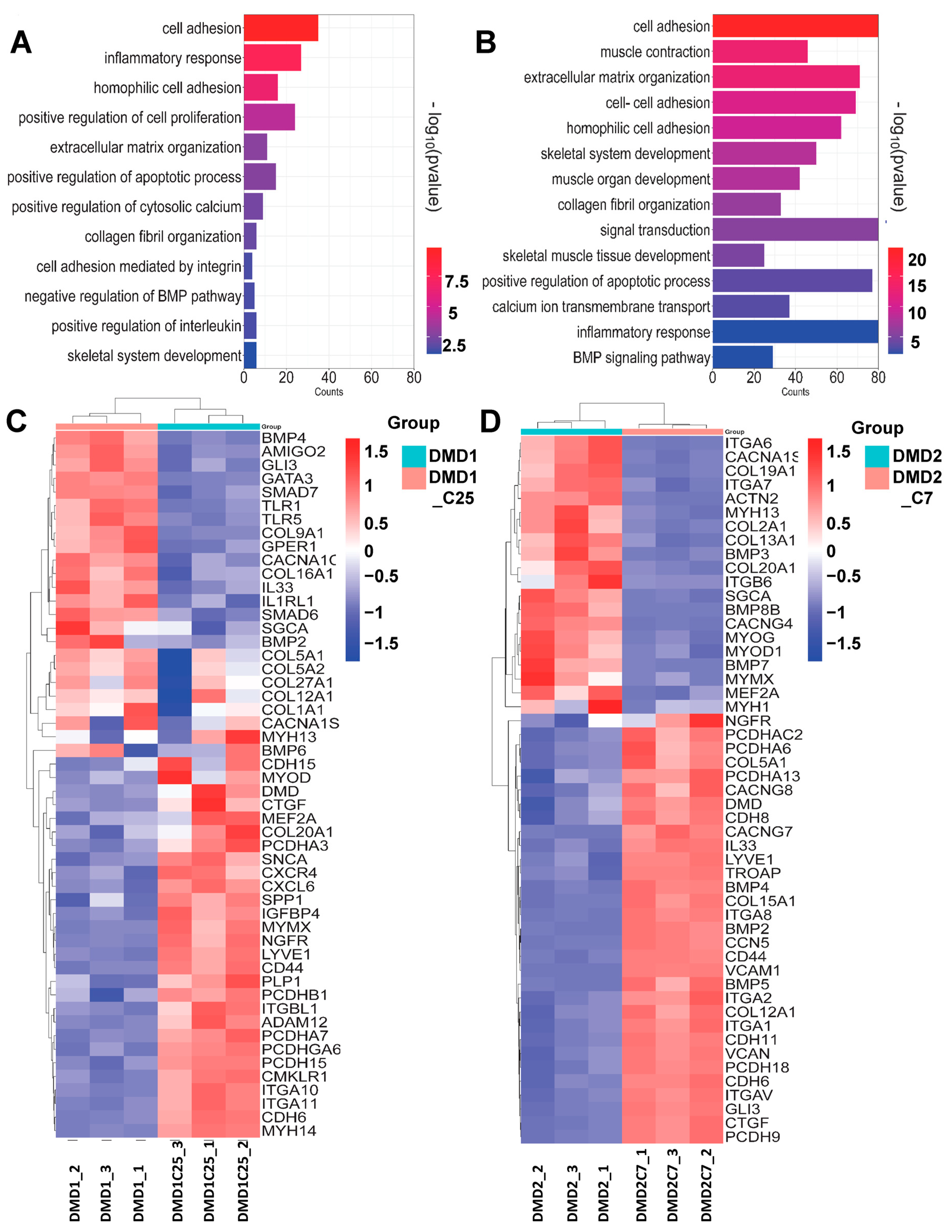 Cells 13 00972 g005 Cells 13 00972 g005