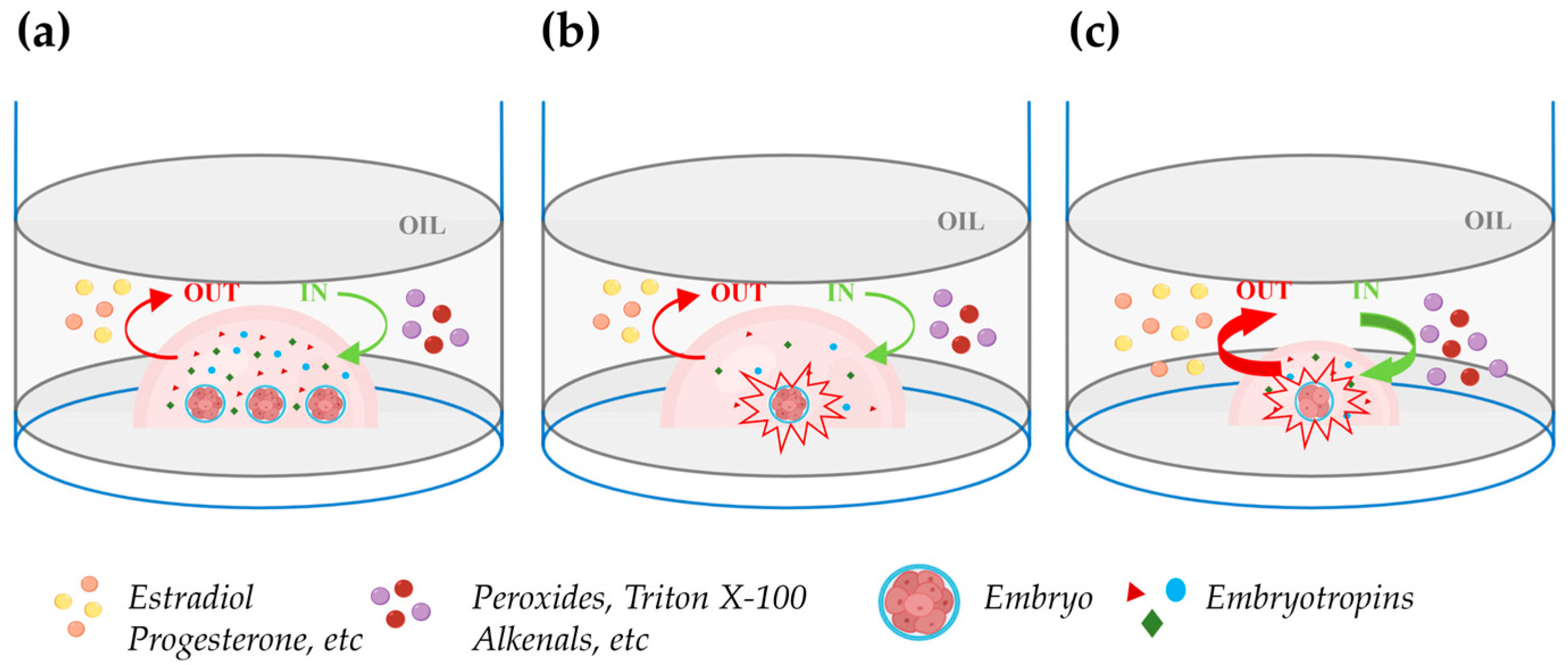 Cells 13 00996 g002 Cells 13 00996 g002
