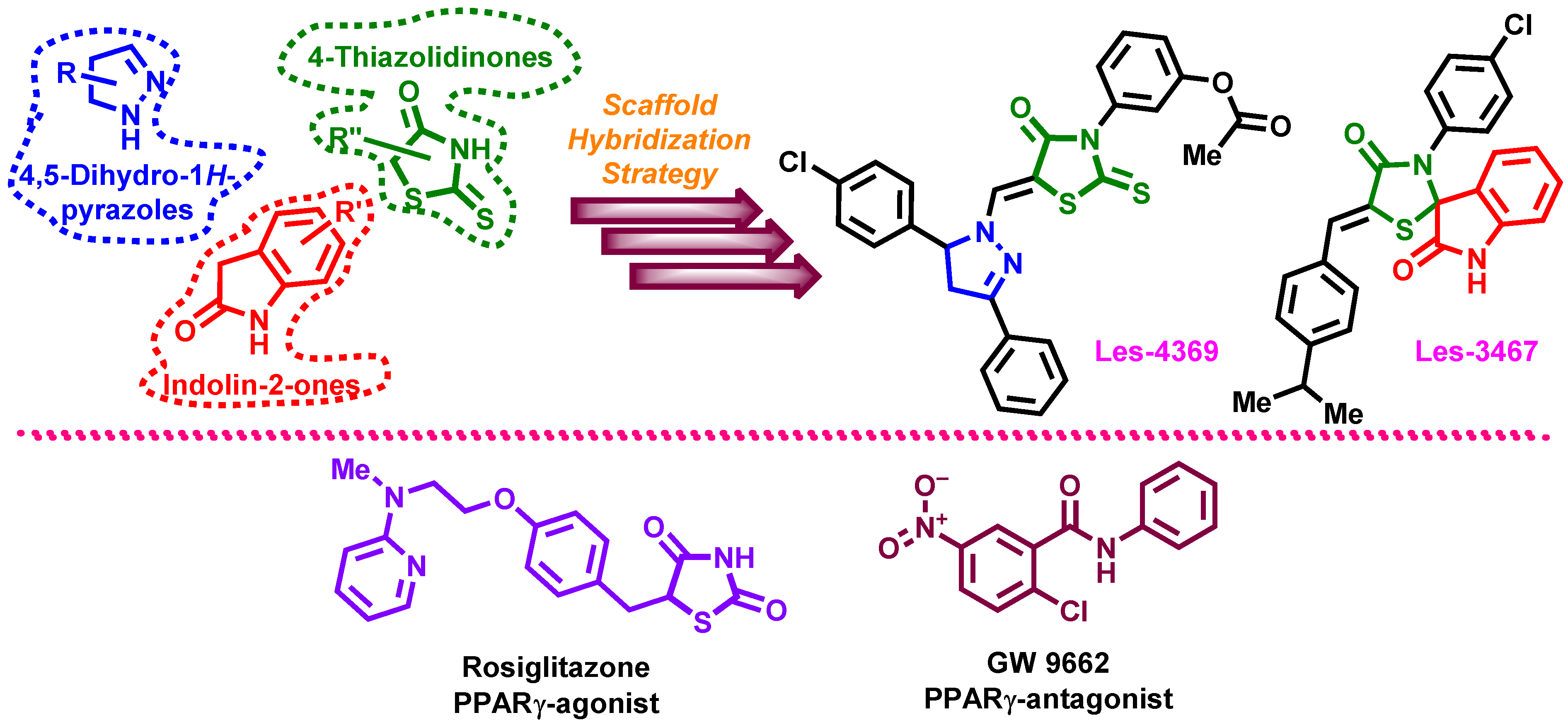 Cells 13 01007 g001 Cells 13 01007 g001