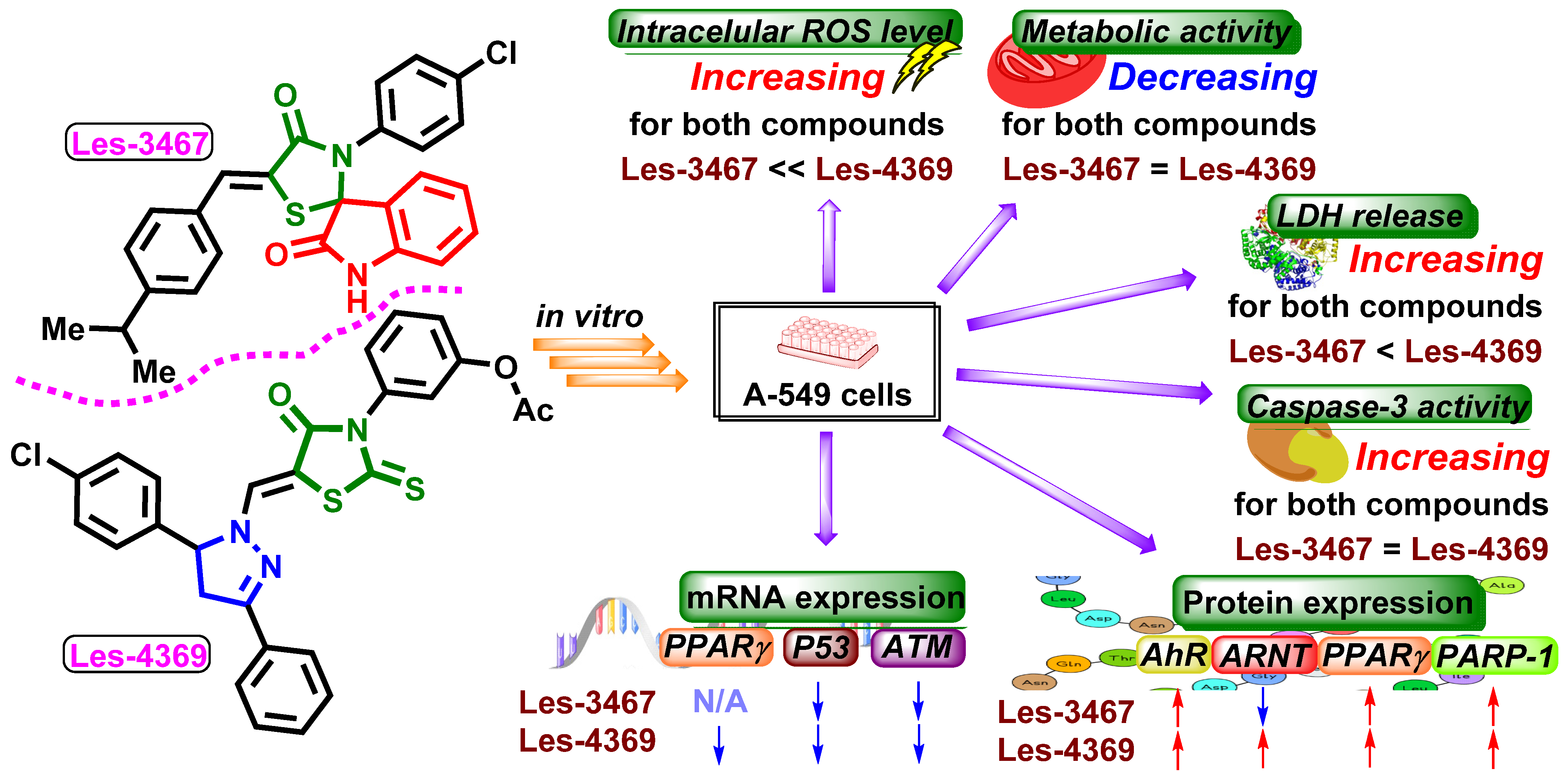 Cells 13 01007 g003 Cells 13 01007 g003