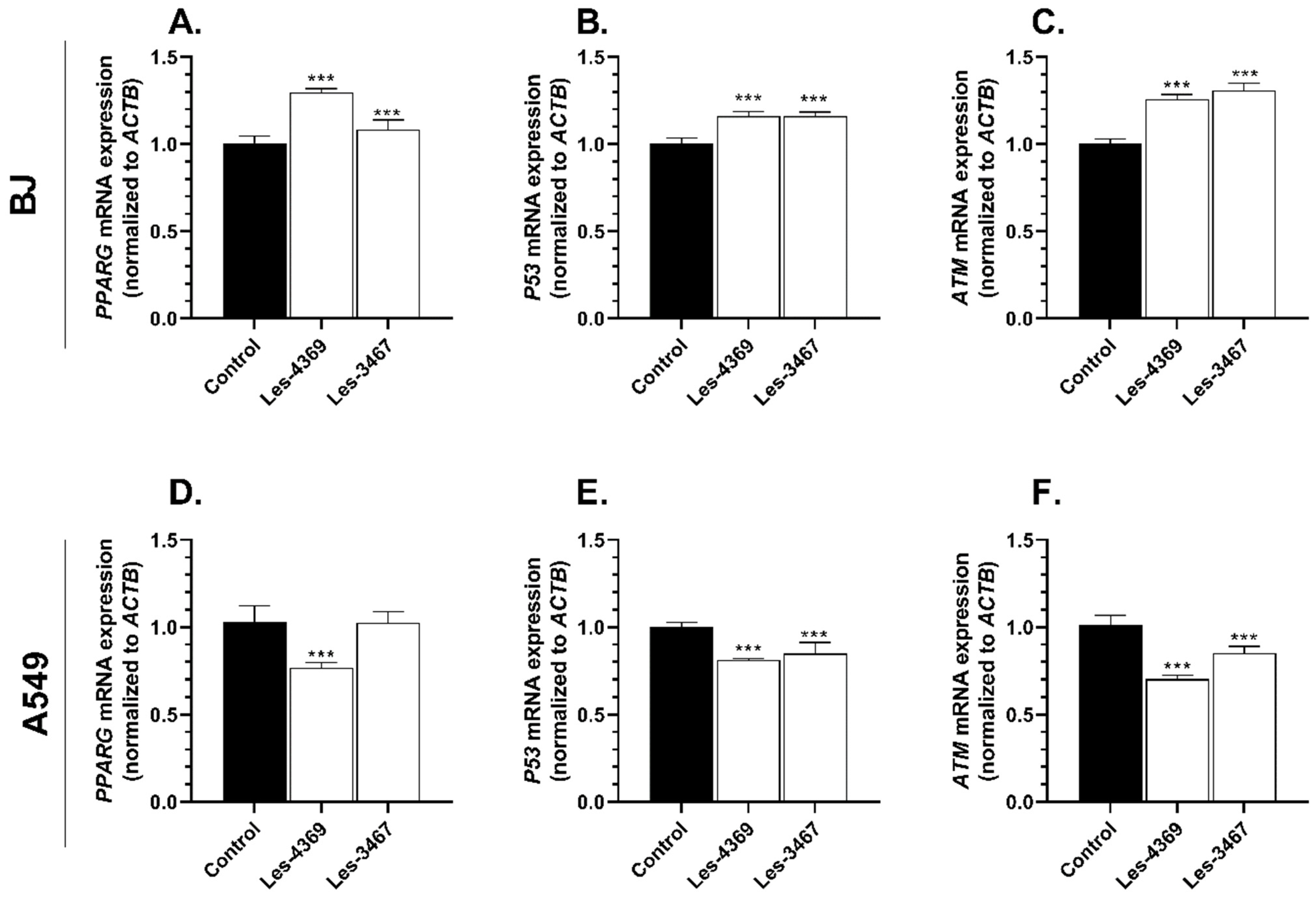 Cells 13 01007 g009 Cells 13 01007 g009