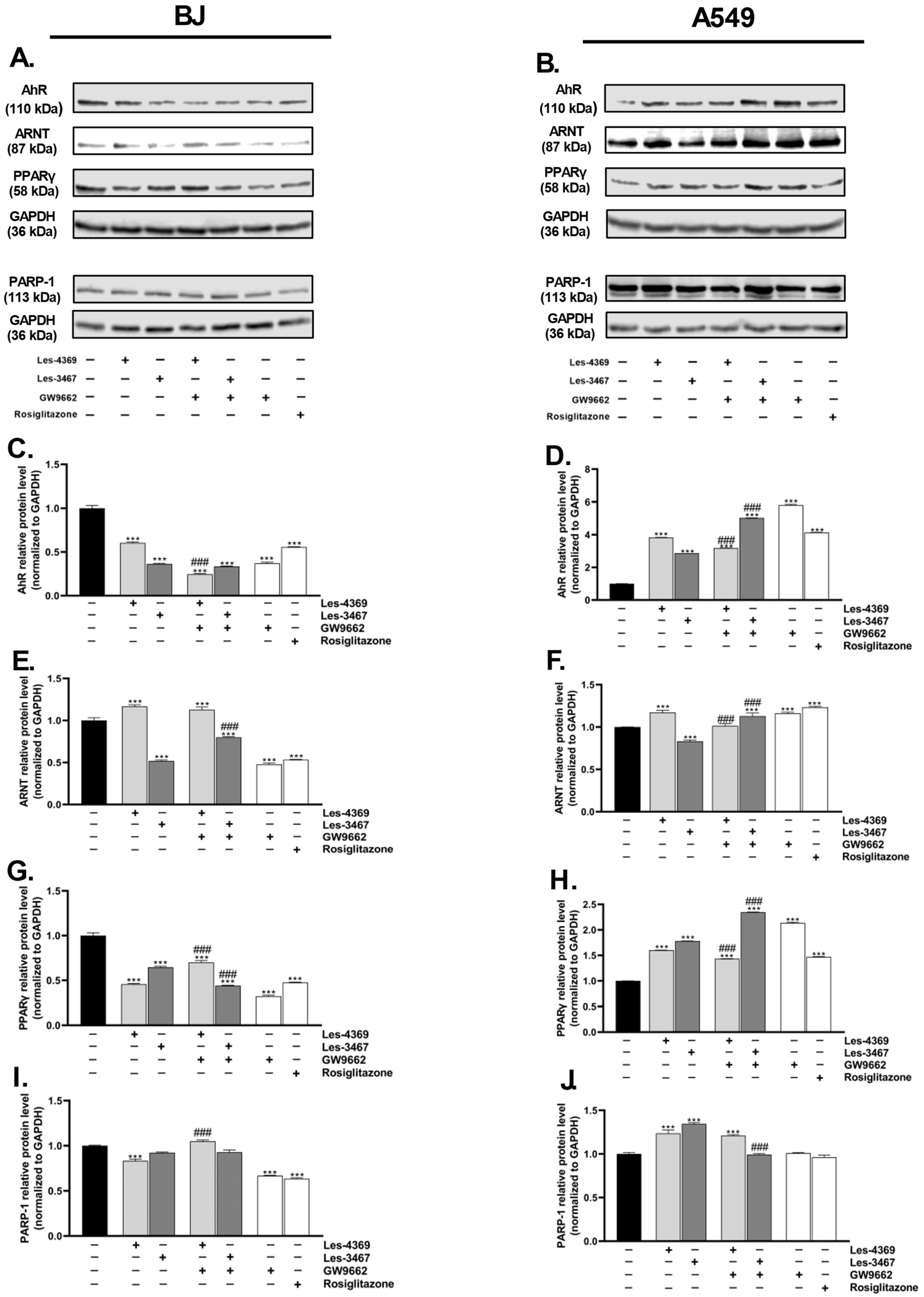 Cells 13 01007 g010 Cells 13 01007 g010