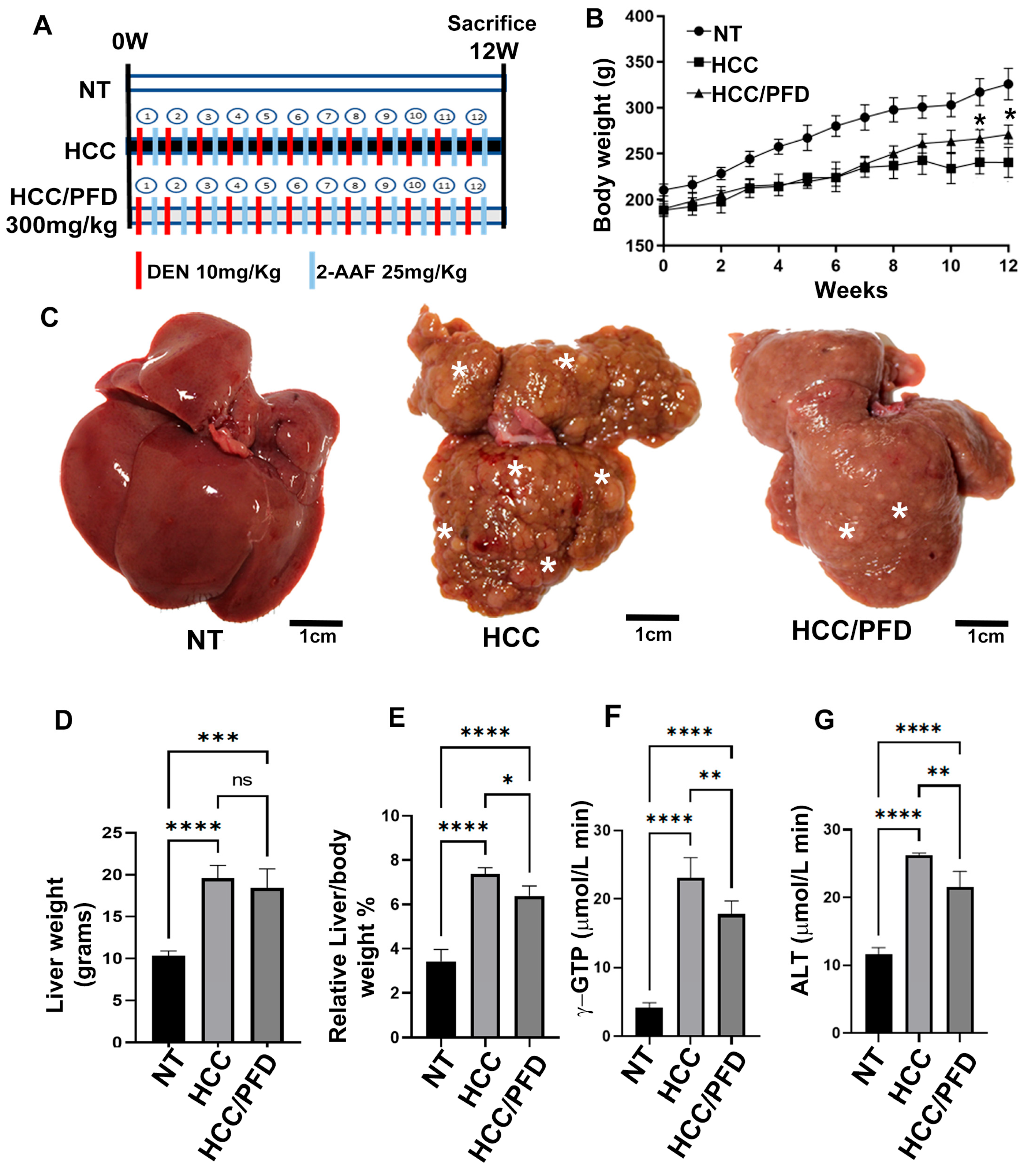 Cells 13 01013 g001 Cells 13 01013 g001