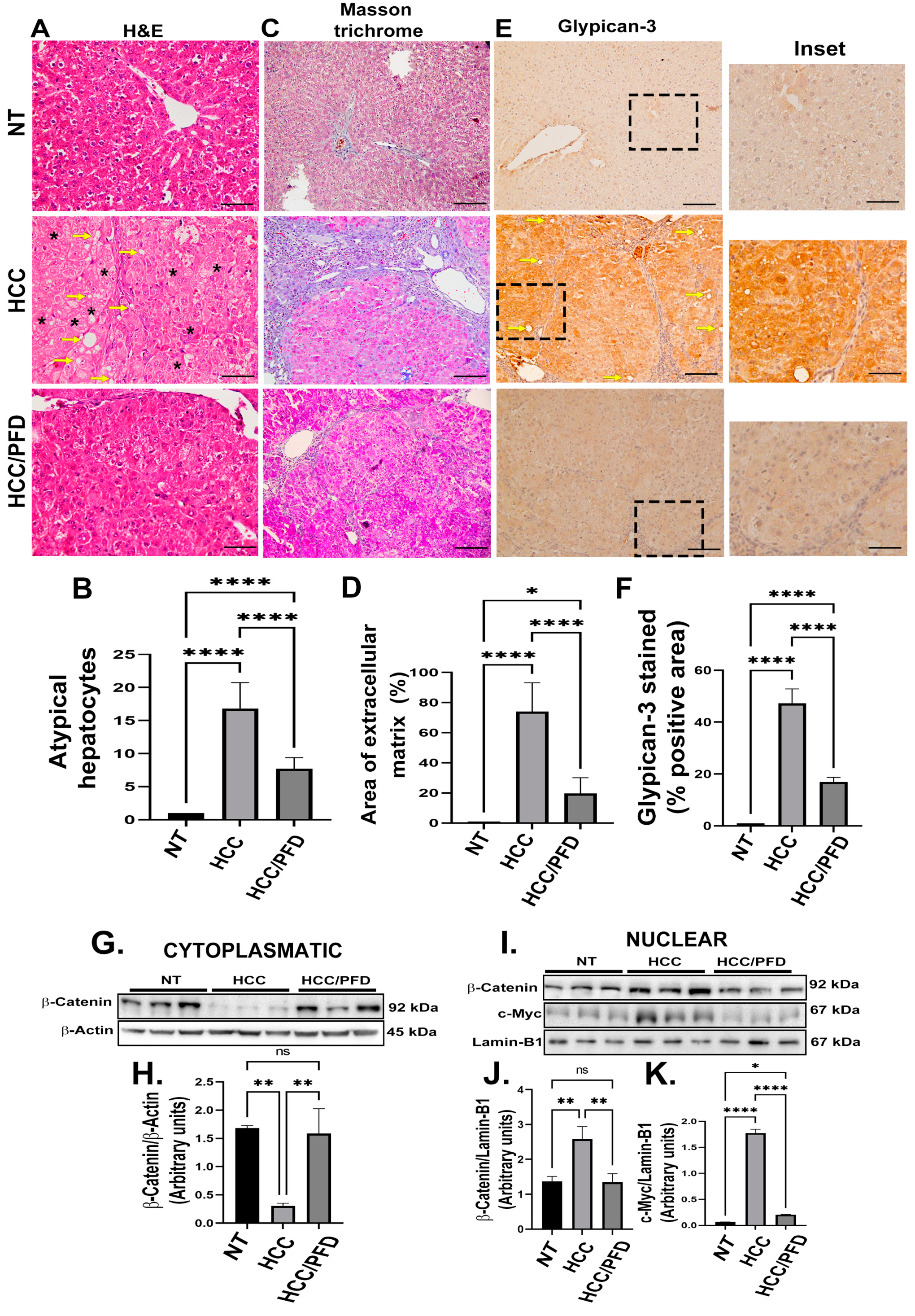 Cells 13 01013 g002 Cells 13 01013 g002