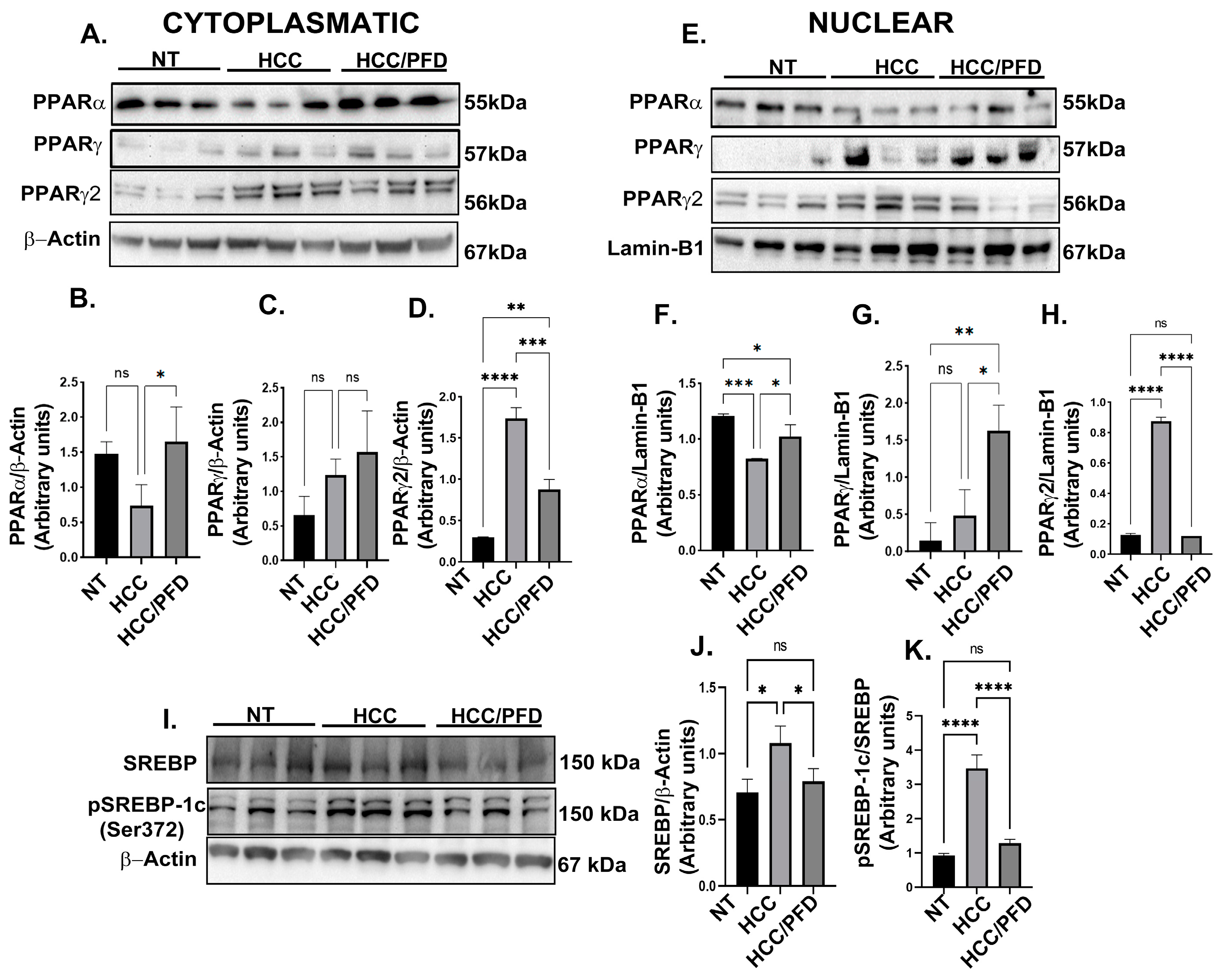 Cells 13 01013 g003 Cells 13 01013 g003