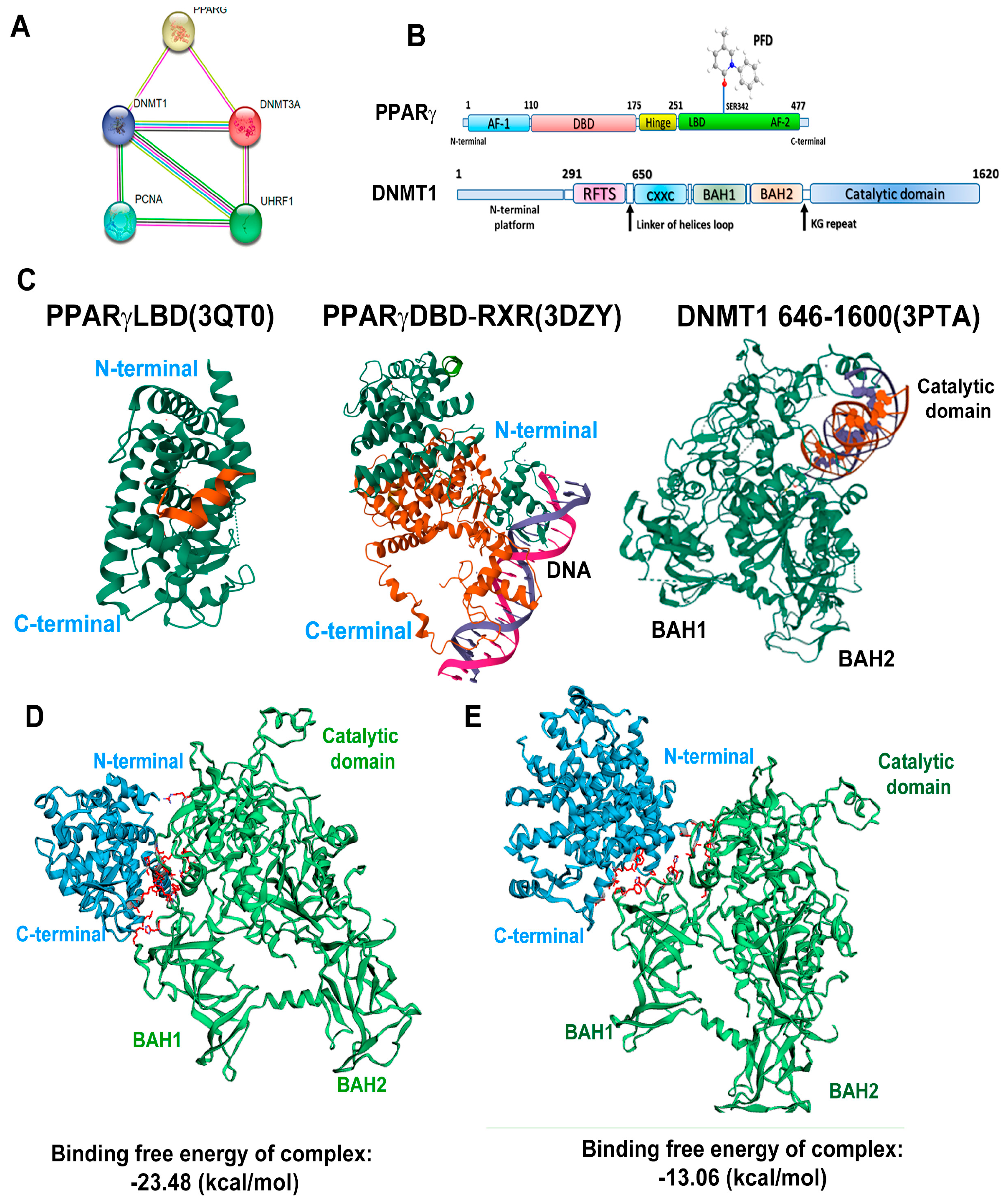 Cells 13 01013 g006 Cells 13 01013 g006