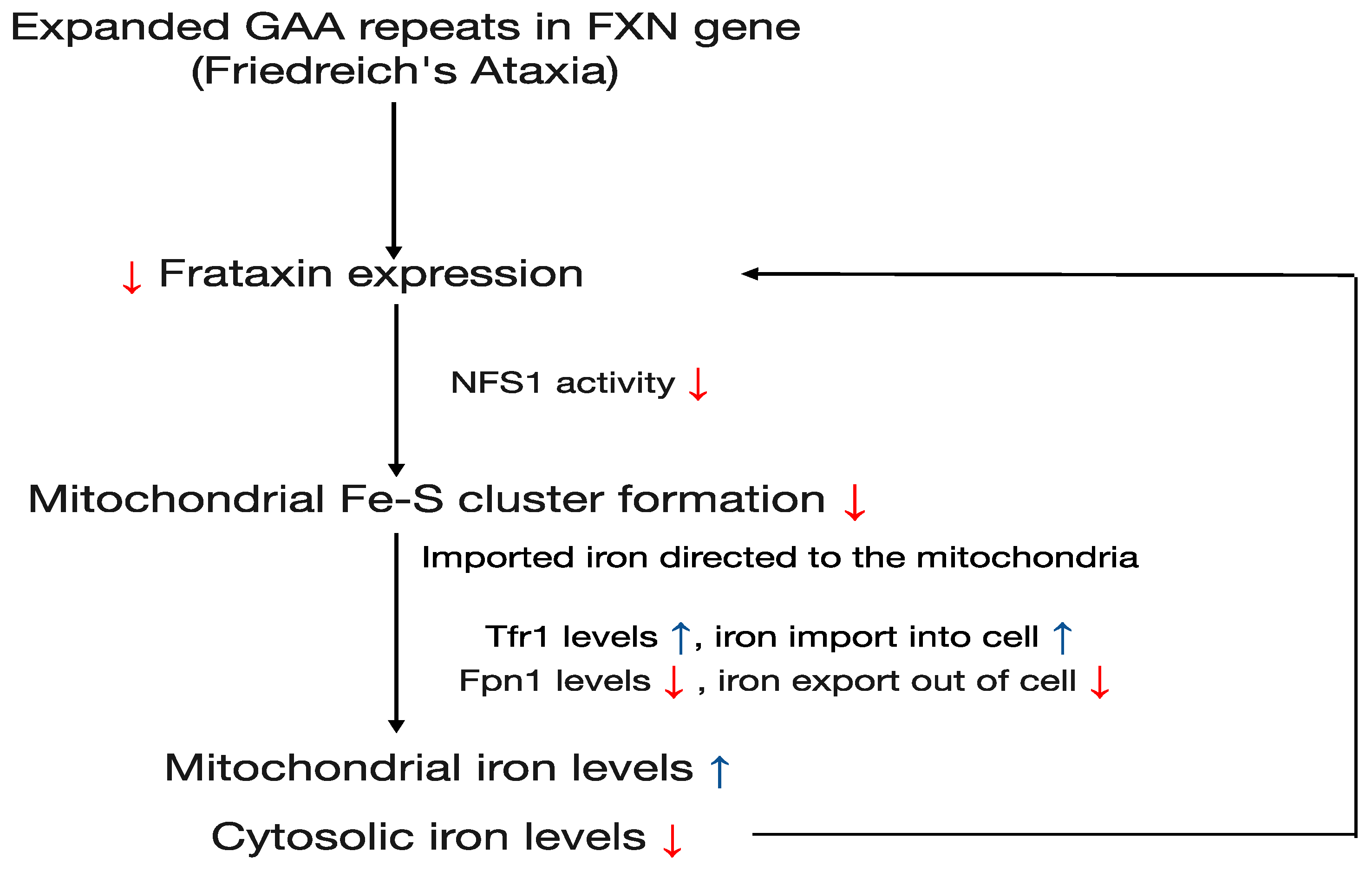 Cells 13 01040 g001 Cells 13 01040 g001