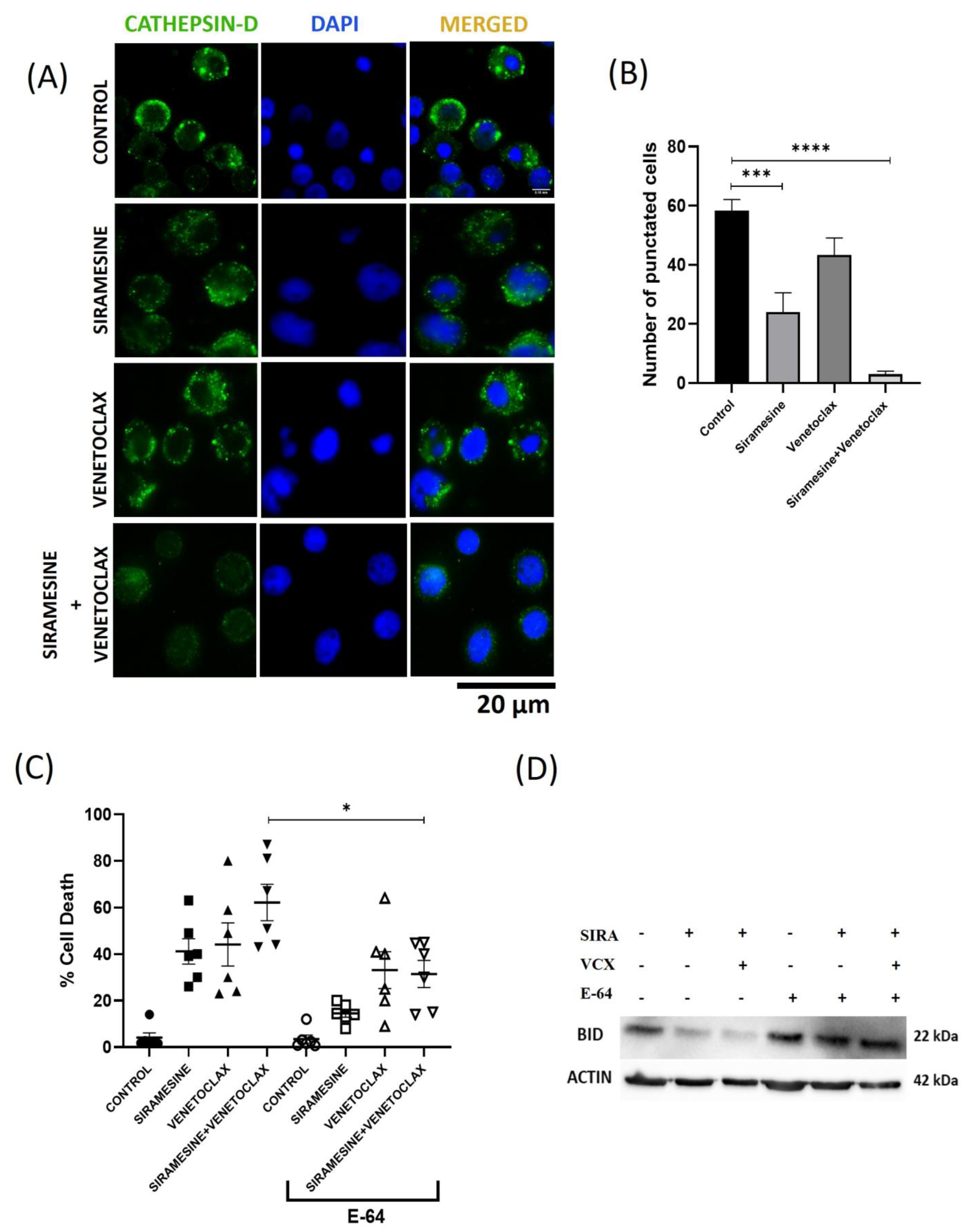 Cells 13 01041 g005 Cells 13 01041 g005