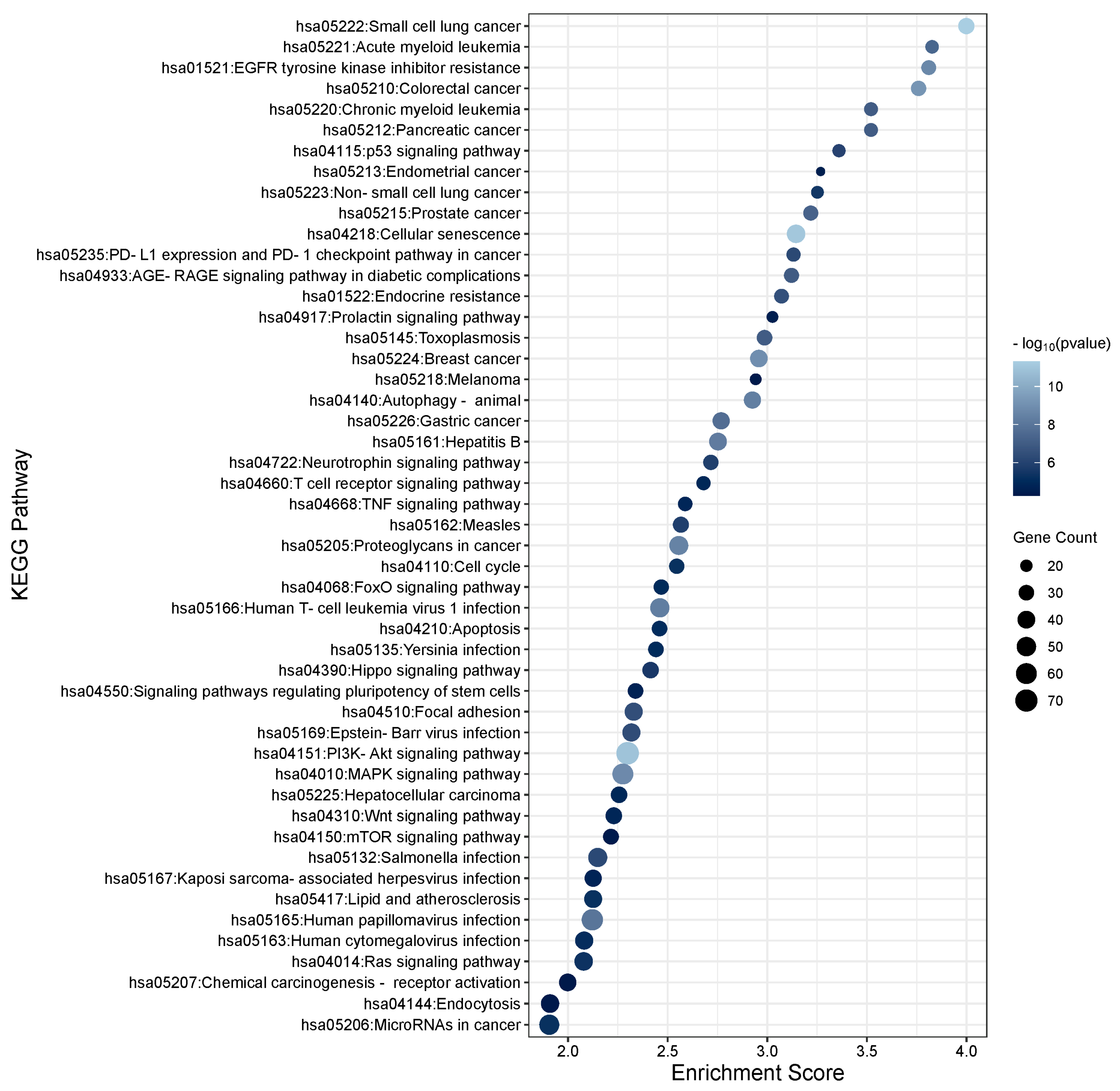 Cells 13 01060 g002 Cells 13 01060 g002