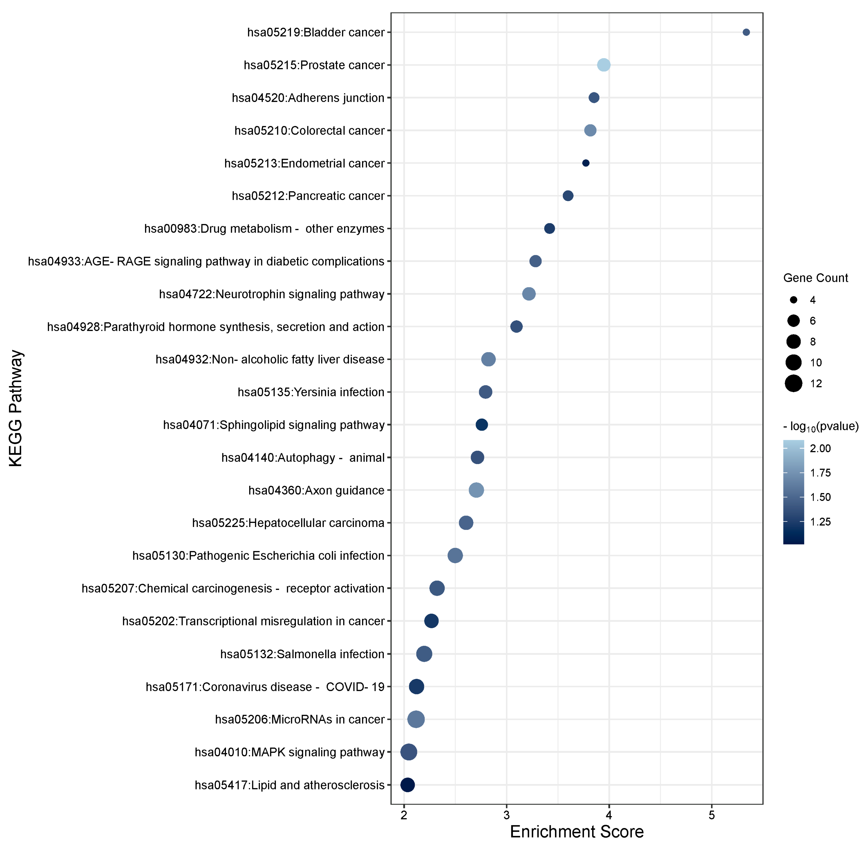 Cells 13 01060 g007 Cells 13 01060 g007