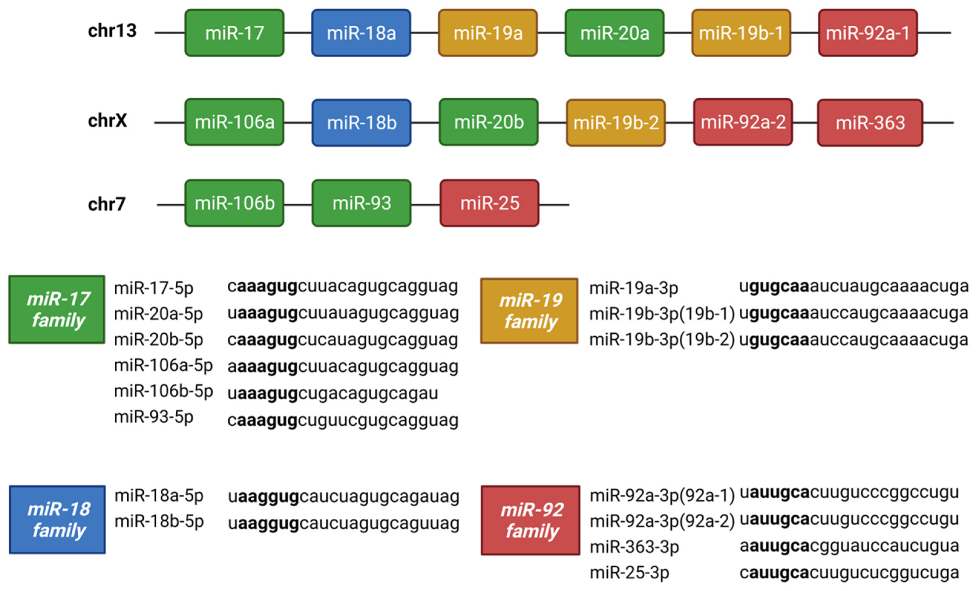 Cells 13 01060 g009 Cells 13 01060 g009