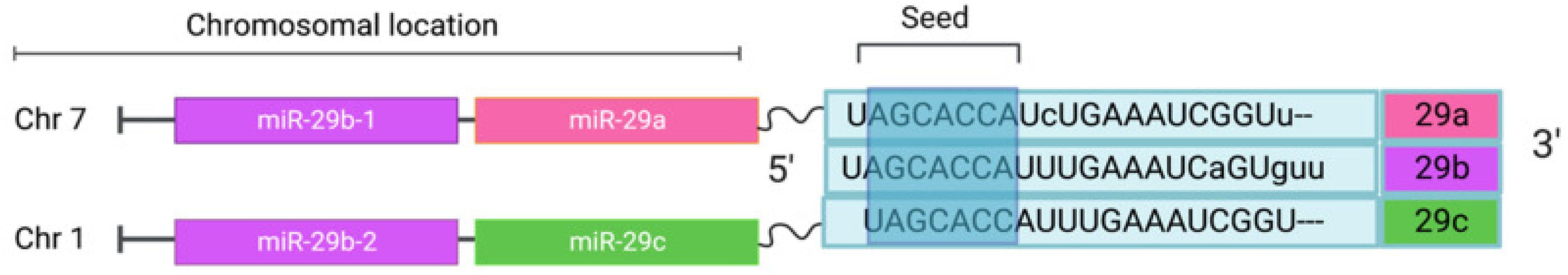 Cells 13 01060 g012 Cells 13 01060 g012
