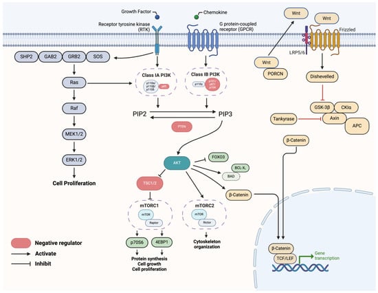 Cells | Free Full-Text | Combination Therapy Approach to Overcome the ...