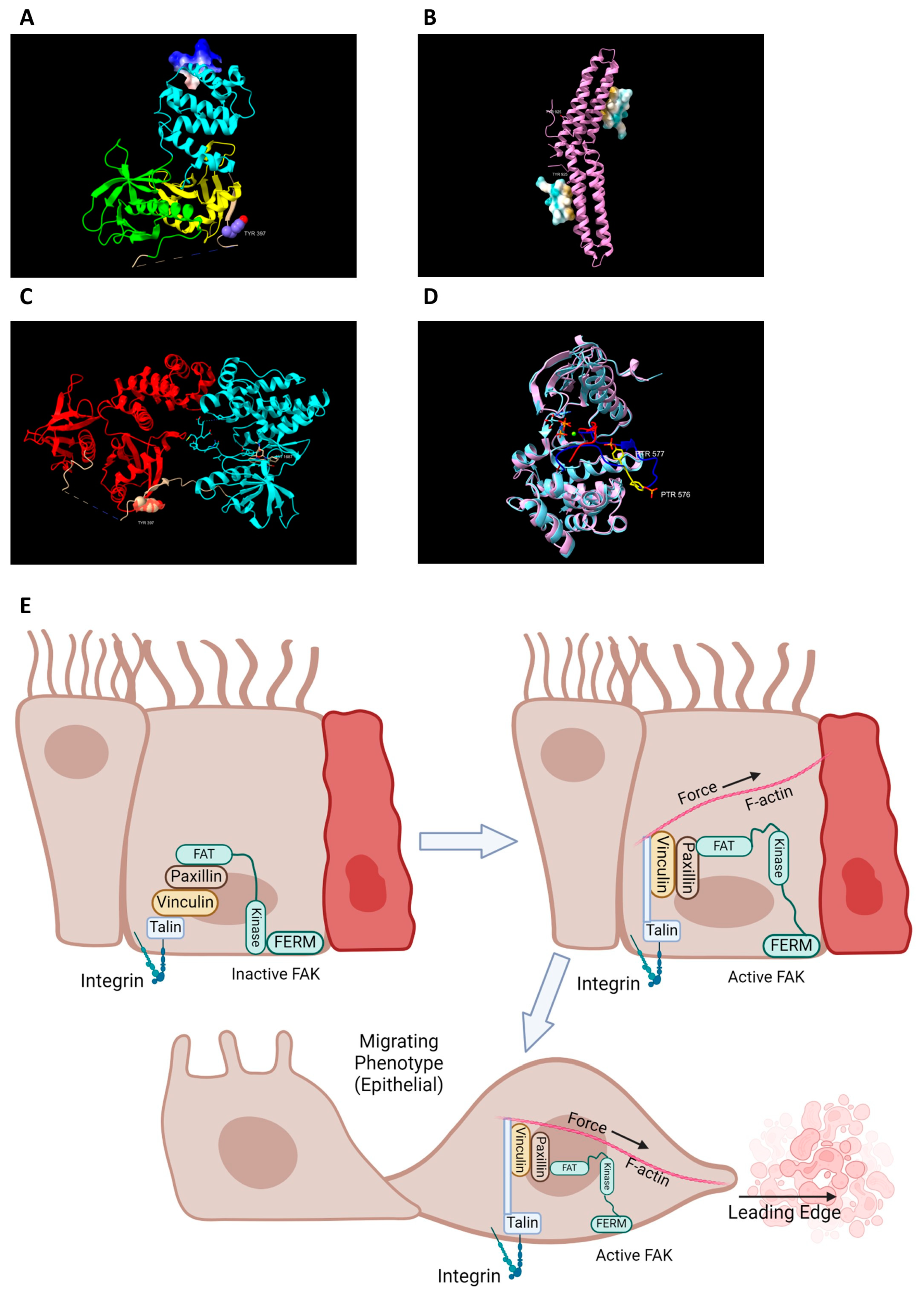 Cells 13 01178 g002 Cells 13 01178 g002