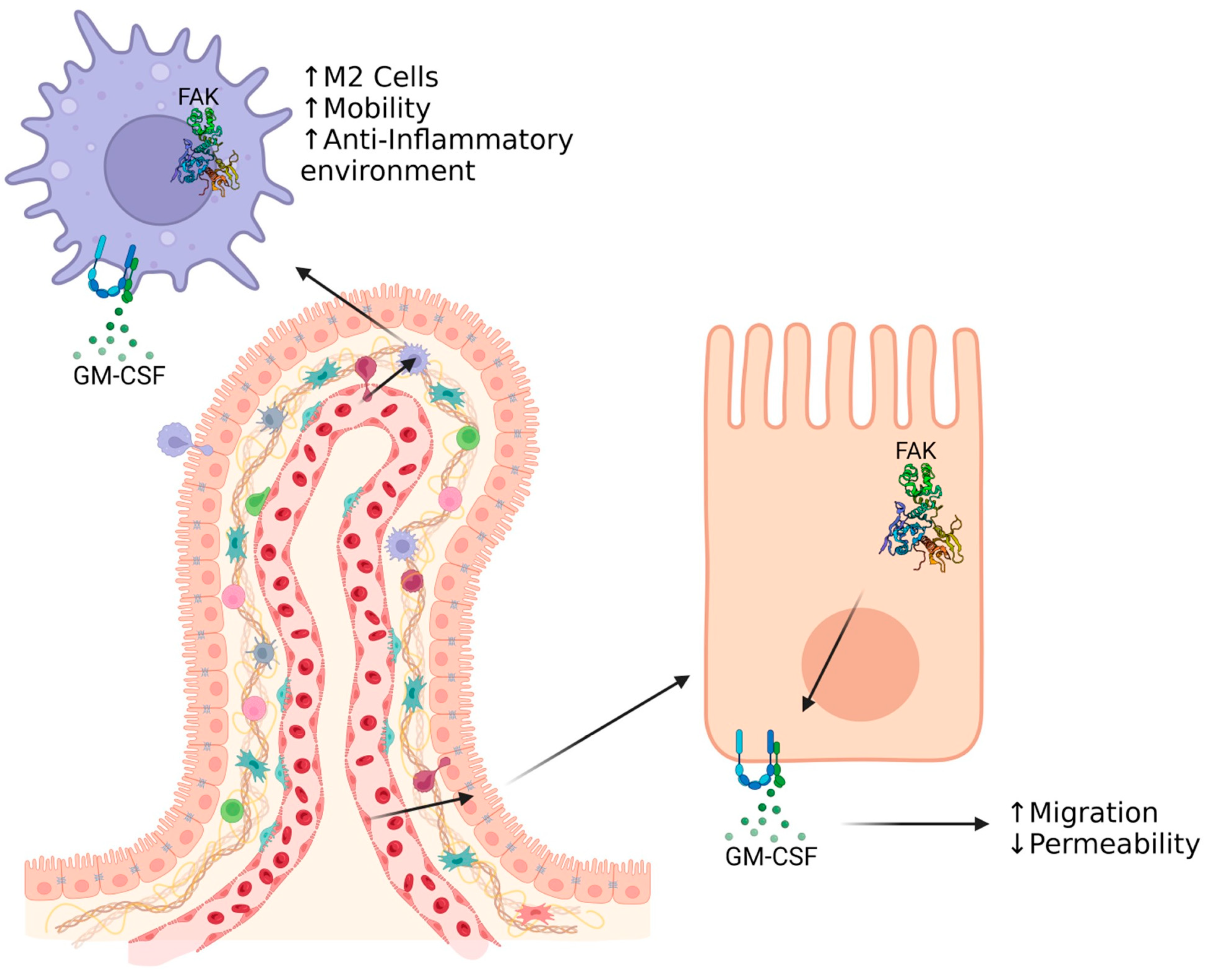 Cells 13 01178 g003 Cells 13 01178 g003