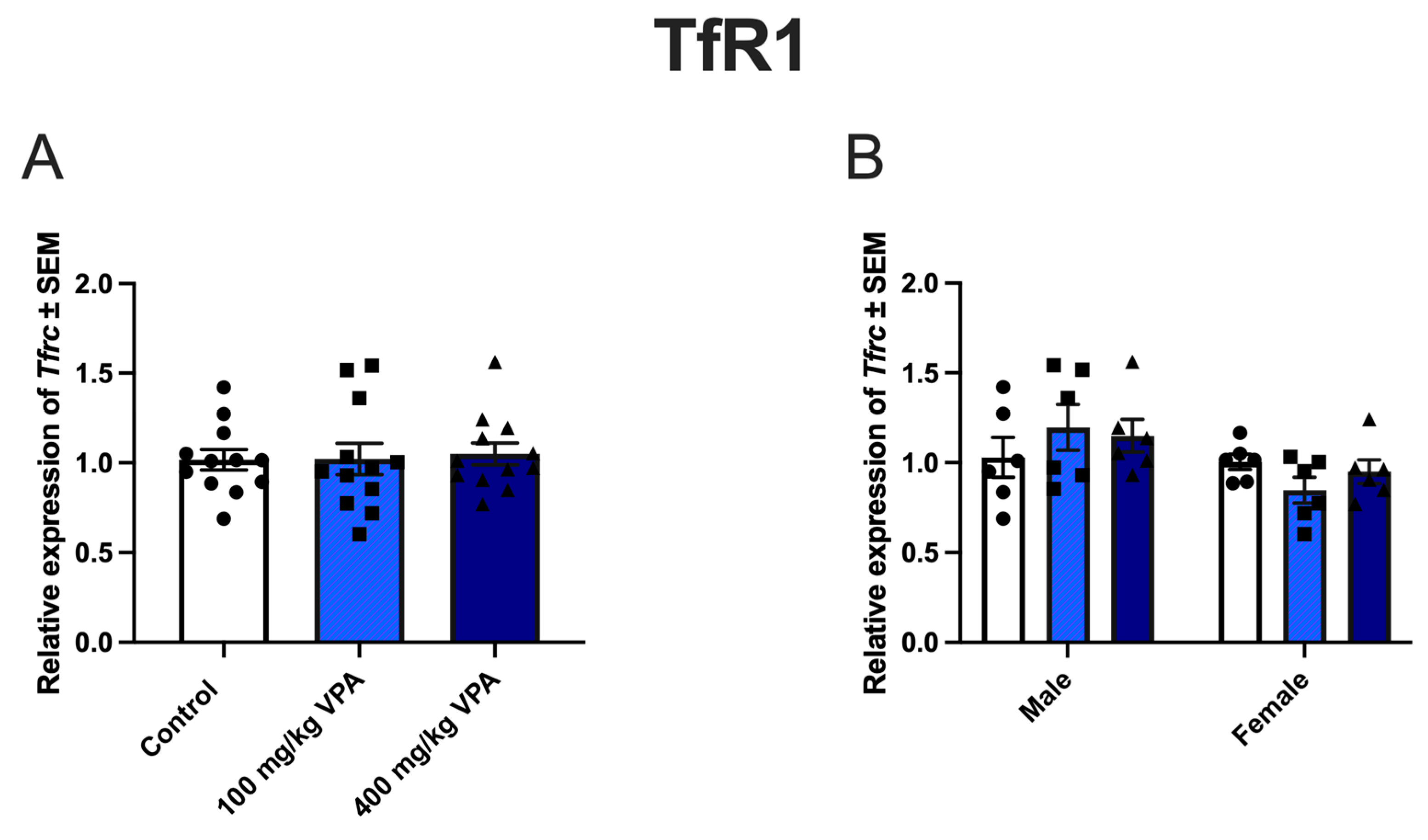 Cells 13 01181 g004a