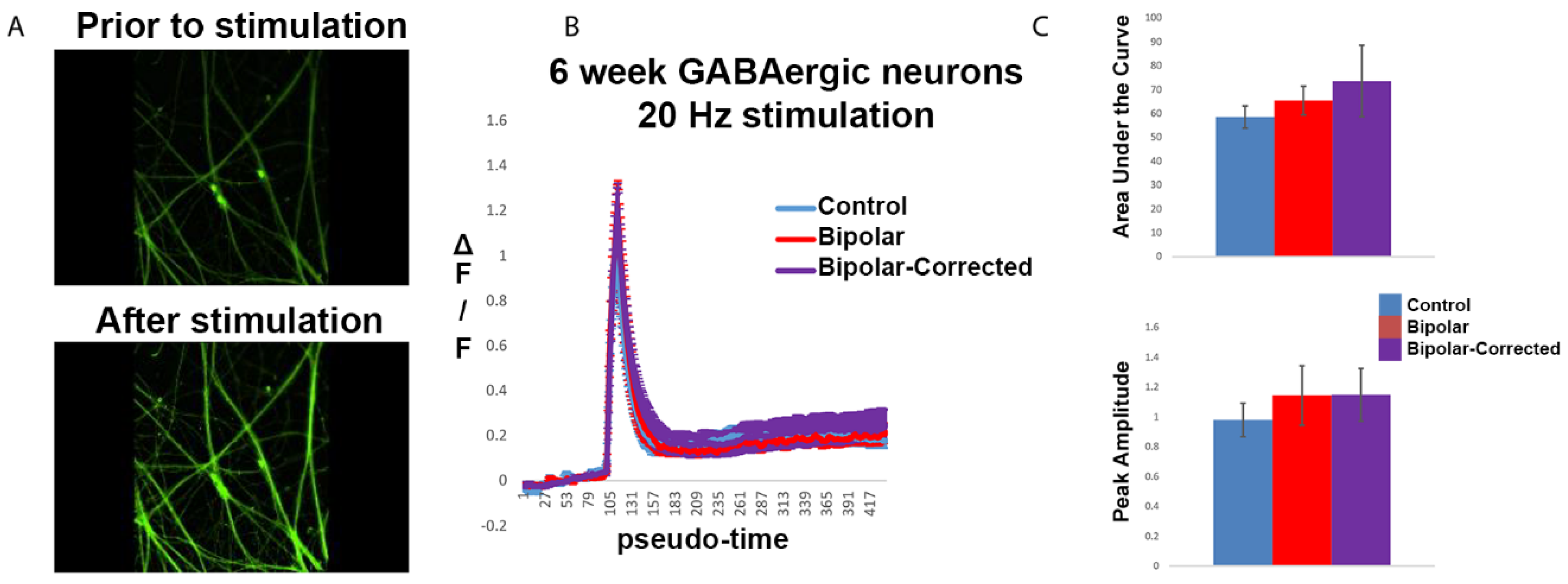 Cells 13 01194 g005 Cells 13 01194 g005