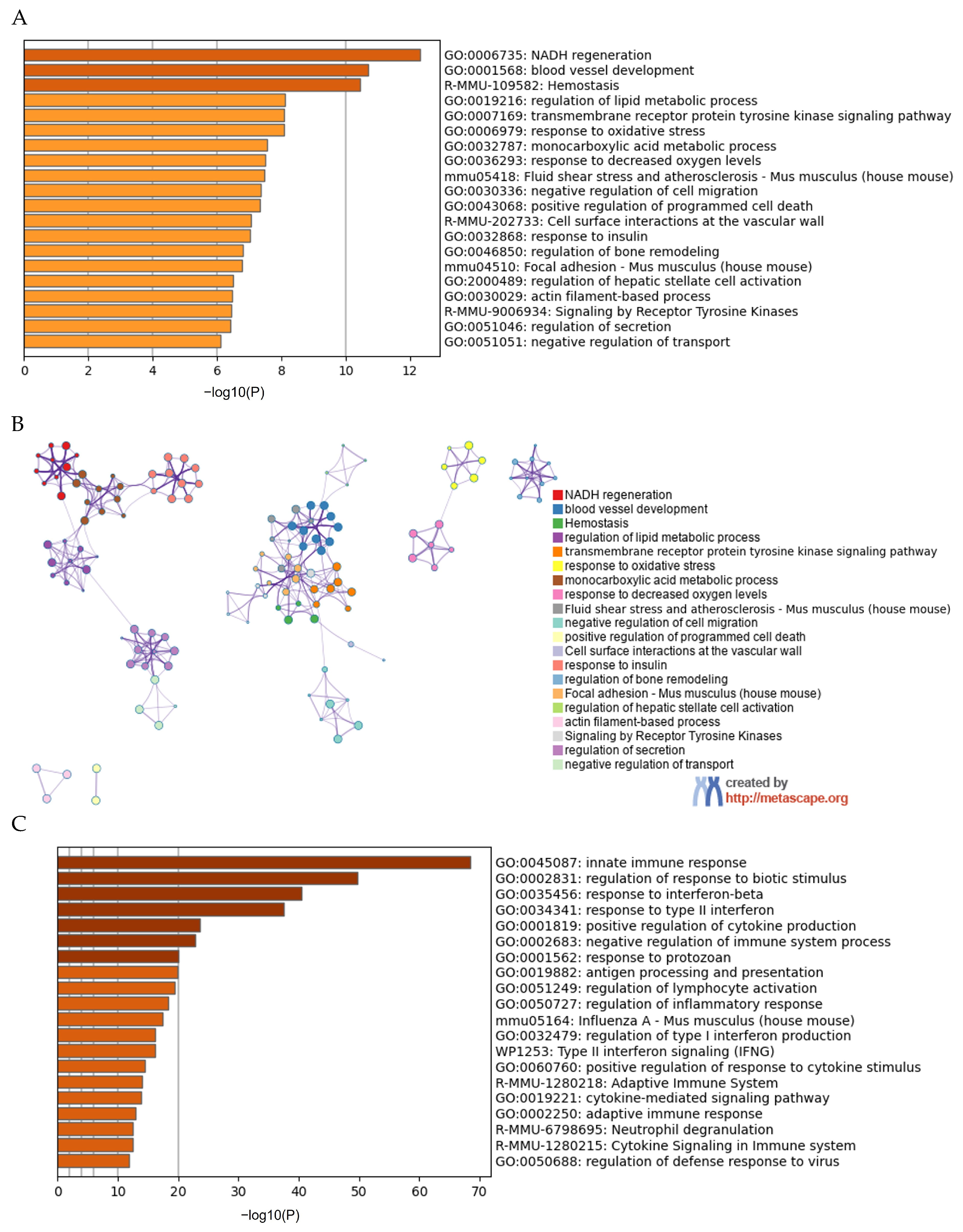 Cells 13 01227 g004a