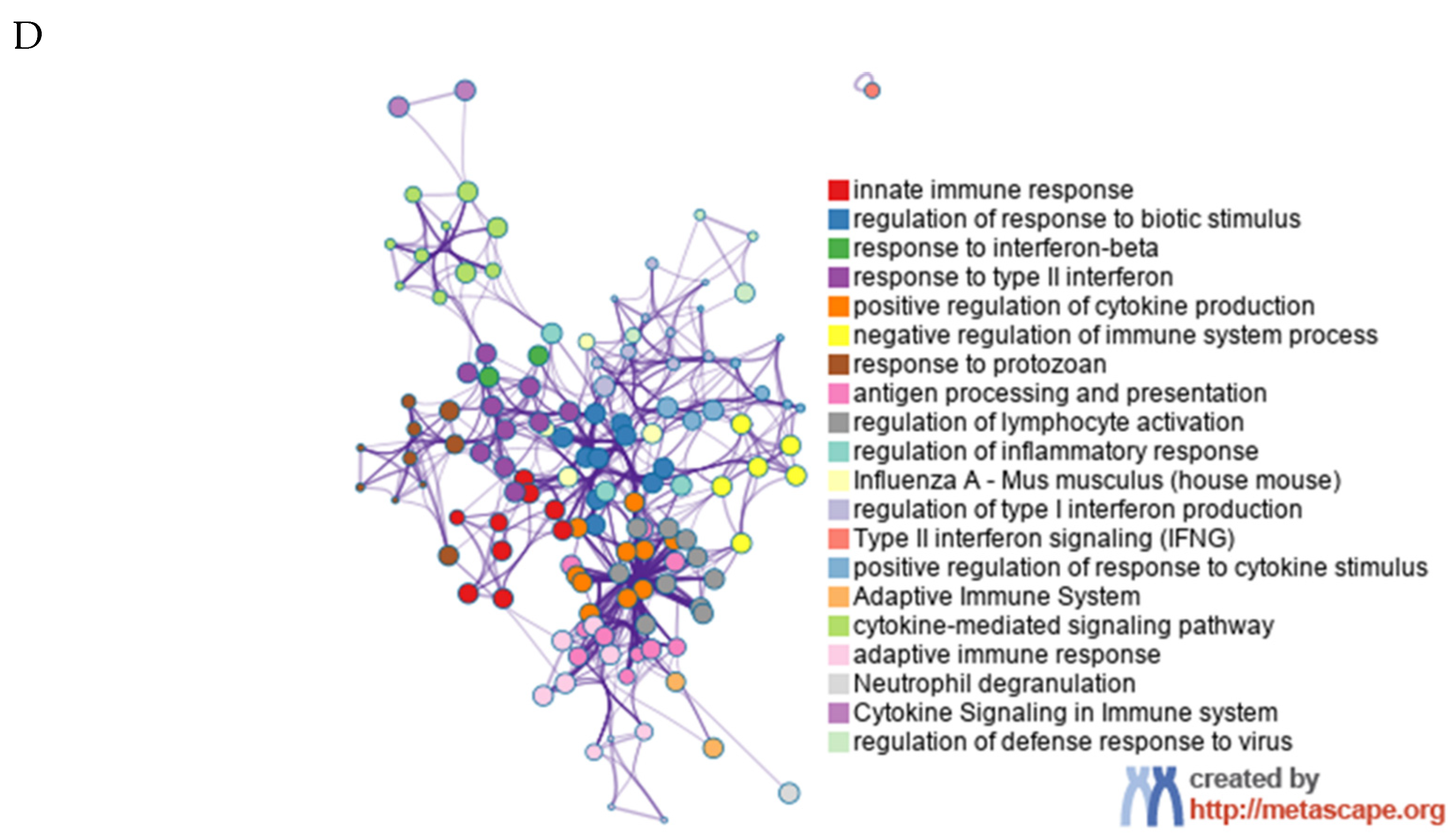 Cells 13 01227 g004b