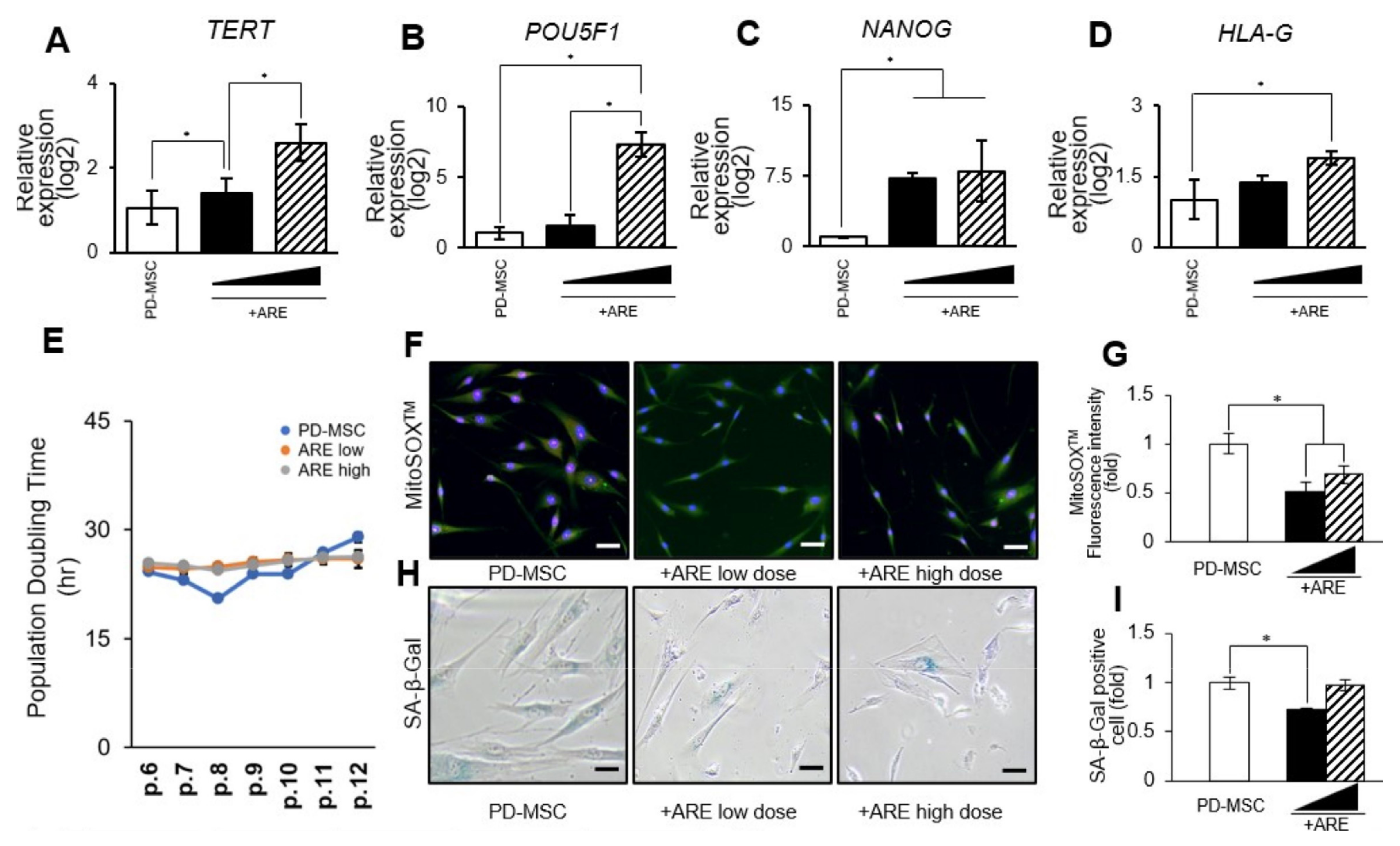 Cells 13 01229 g003a