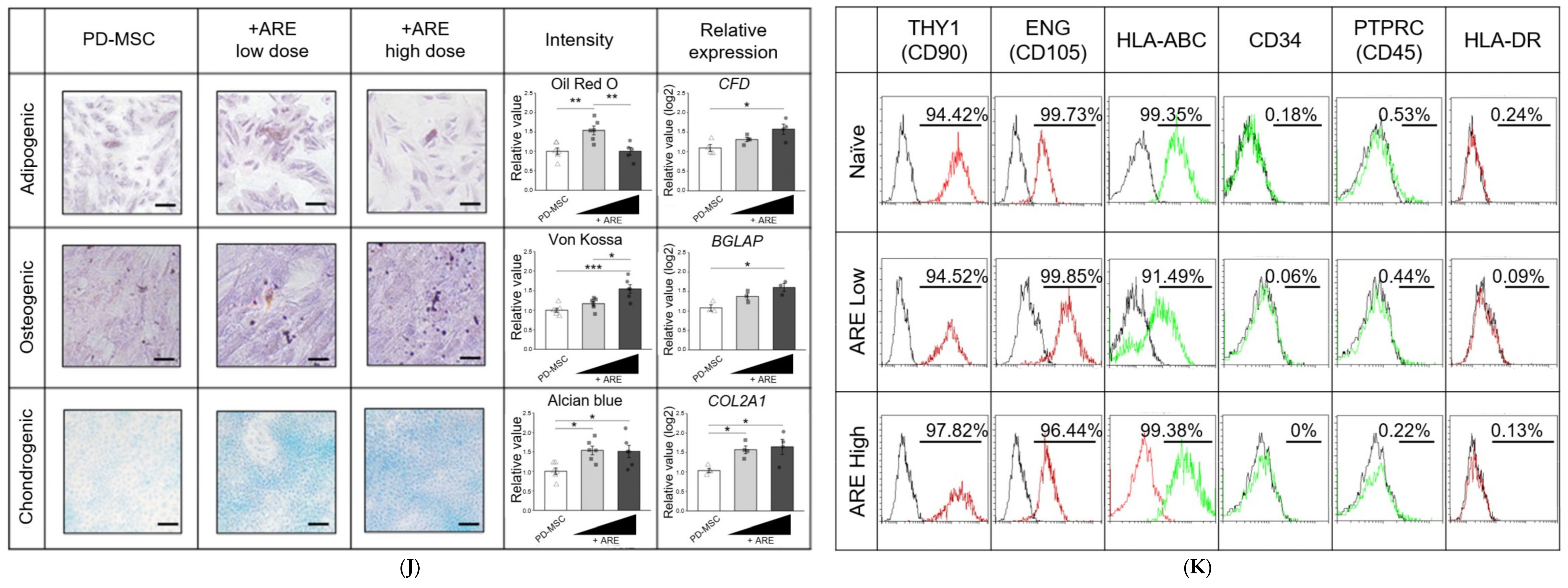Cells 13 01229 g003b