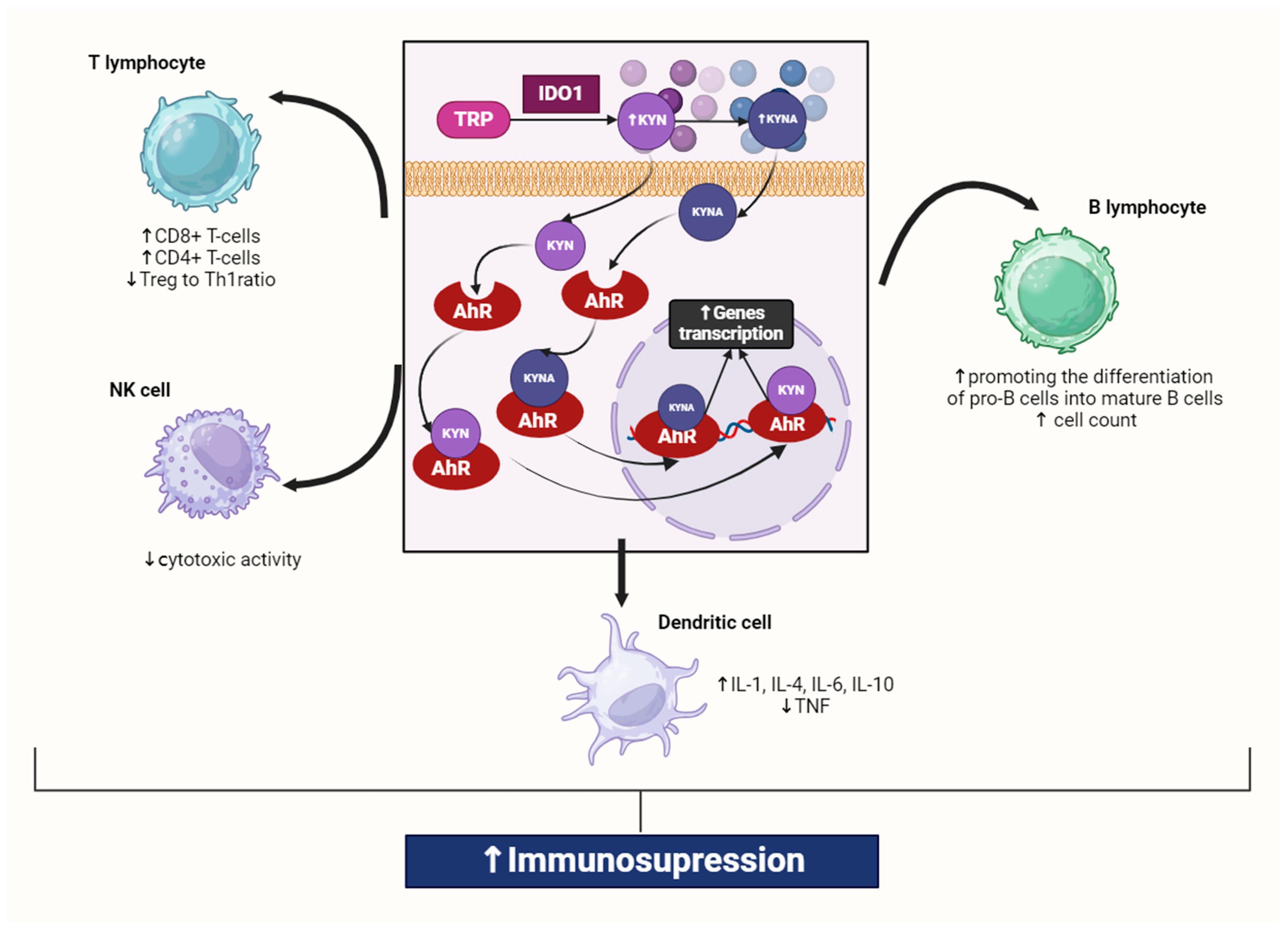 Cells 13 01259 g001 Cells 13 01259 g001