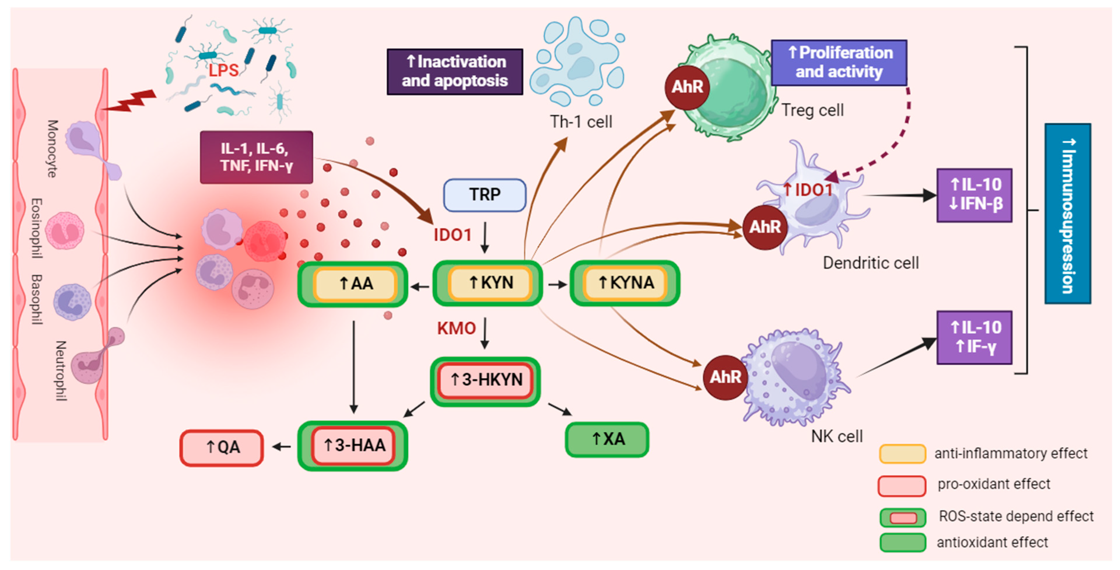 Cells 13 01259 g002 Cells 13 01259 g002