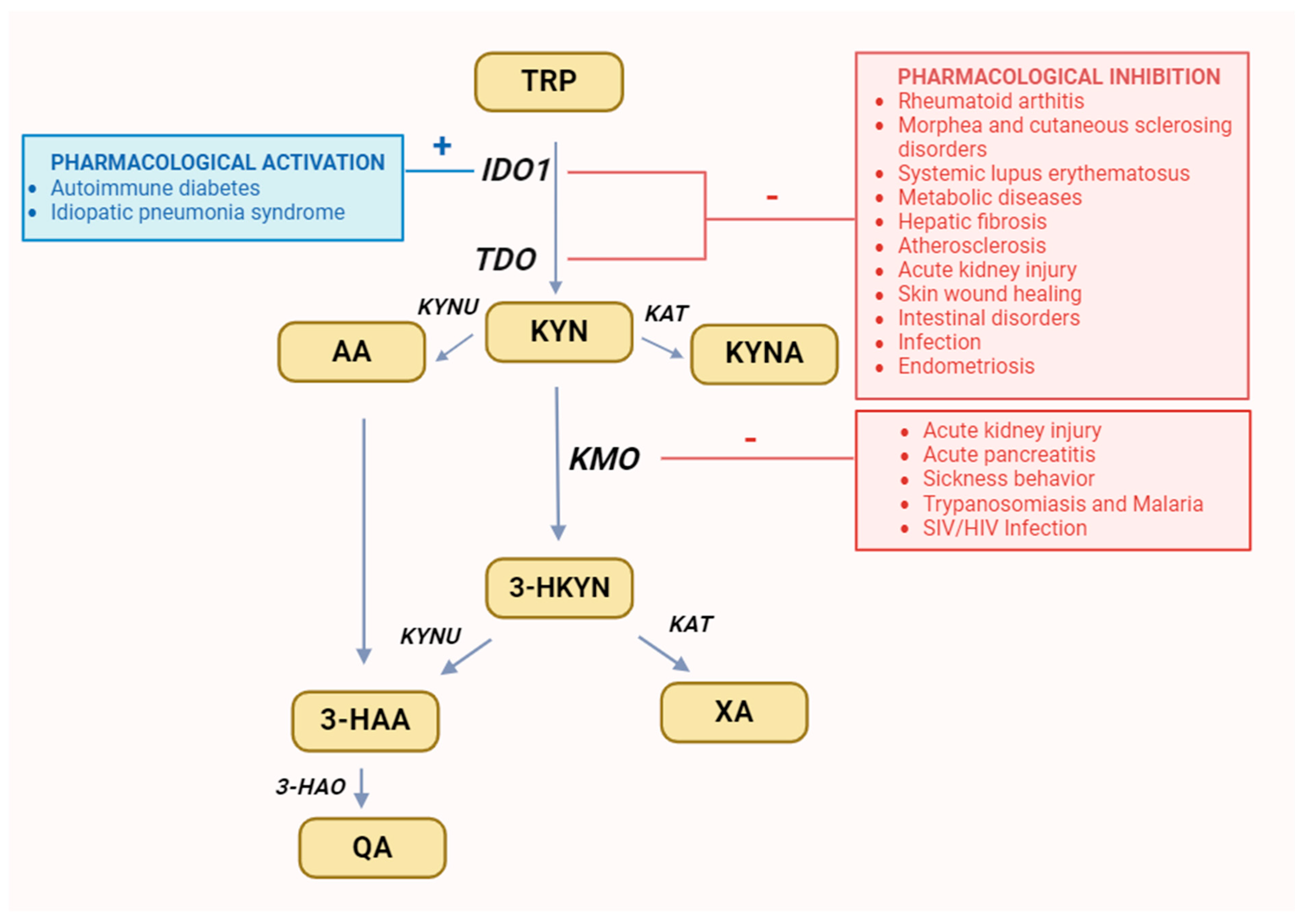 Cells 13 01259 g003 Cells 13 01259 g003